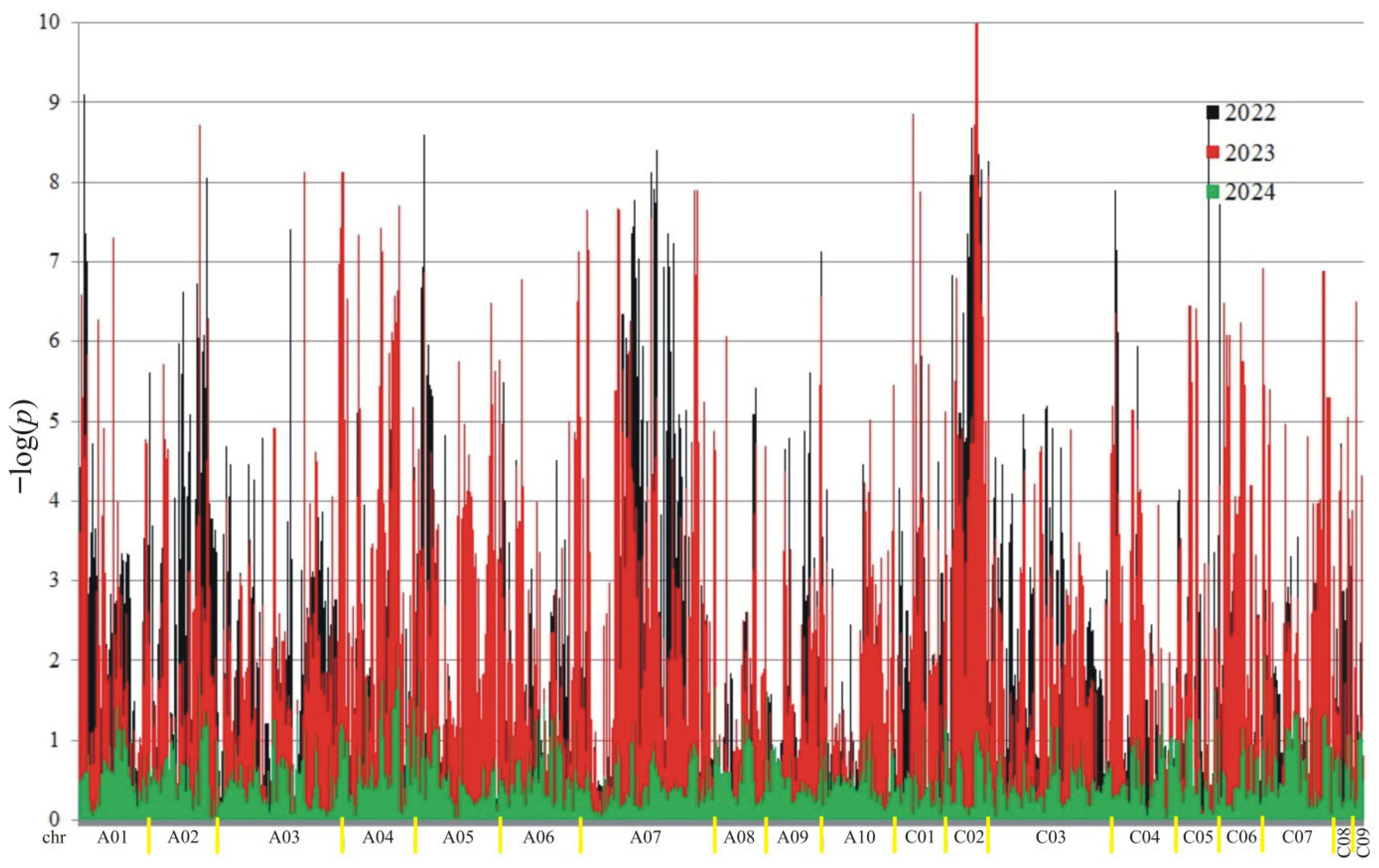 Ijms 26 11931 g004 Ijms 26 11931 g004