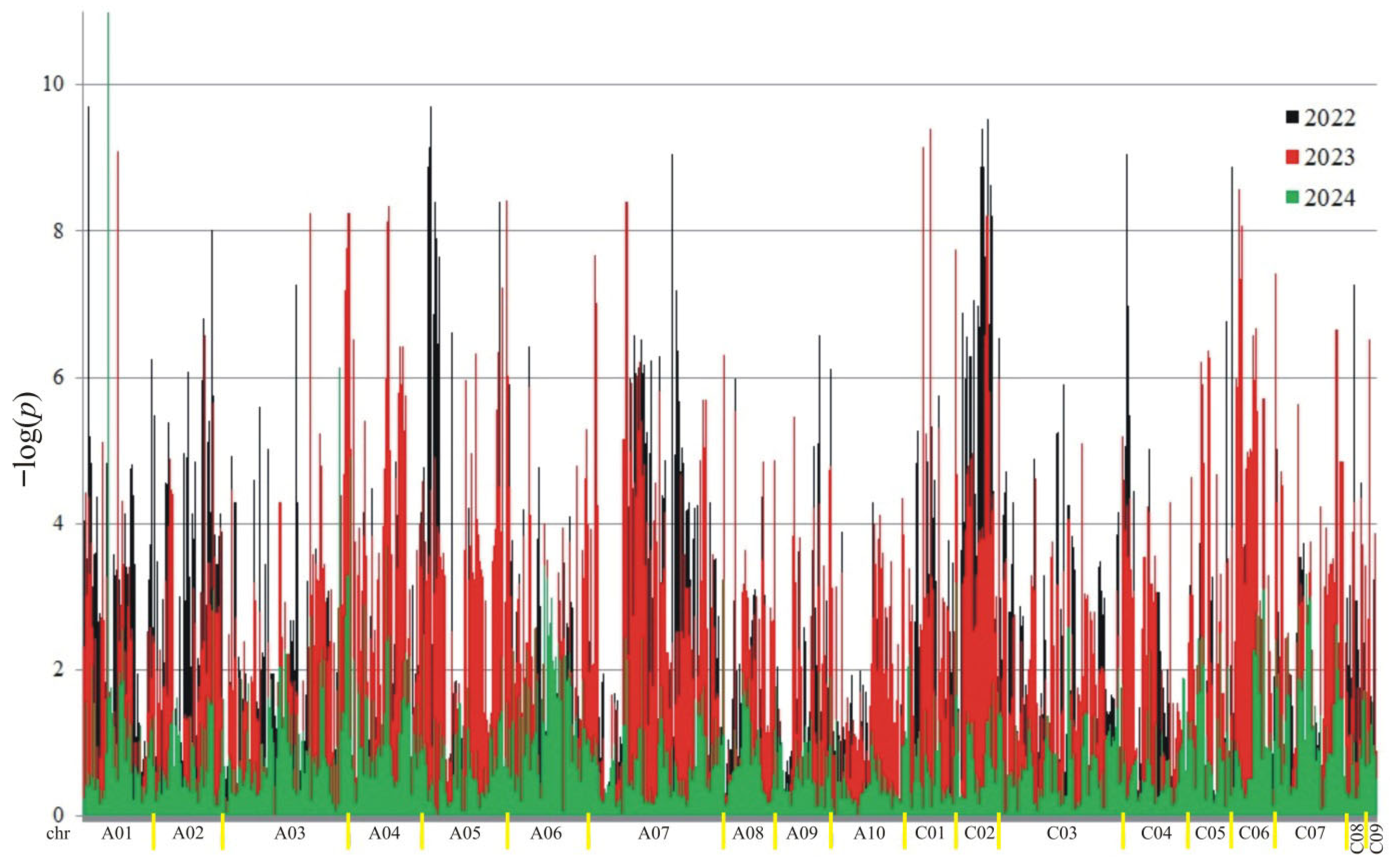 Ijms 26 11931 g005 Ijms 26 11931 g005