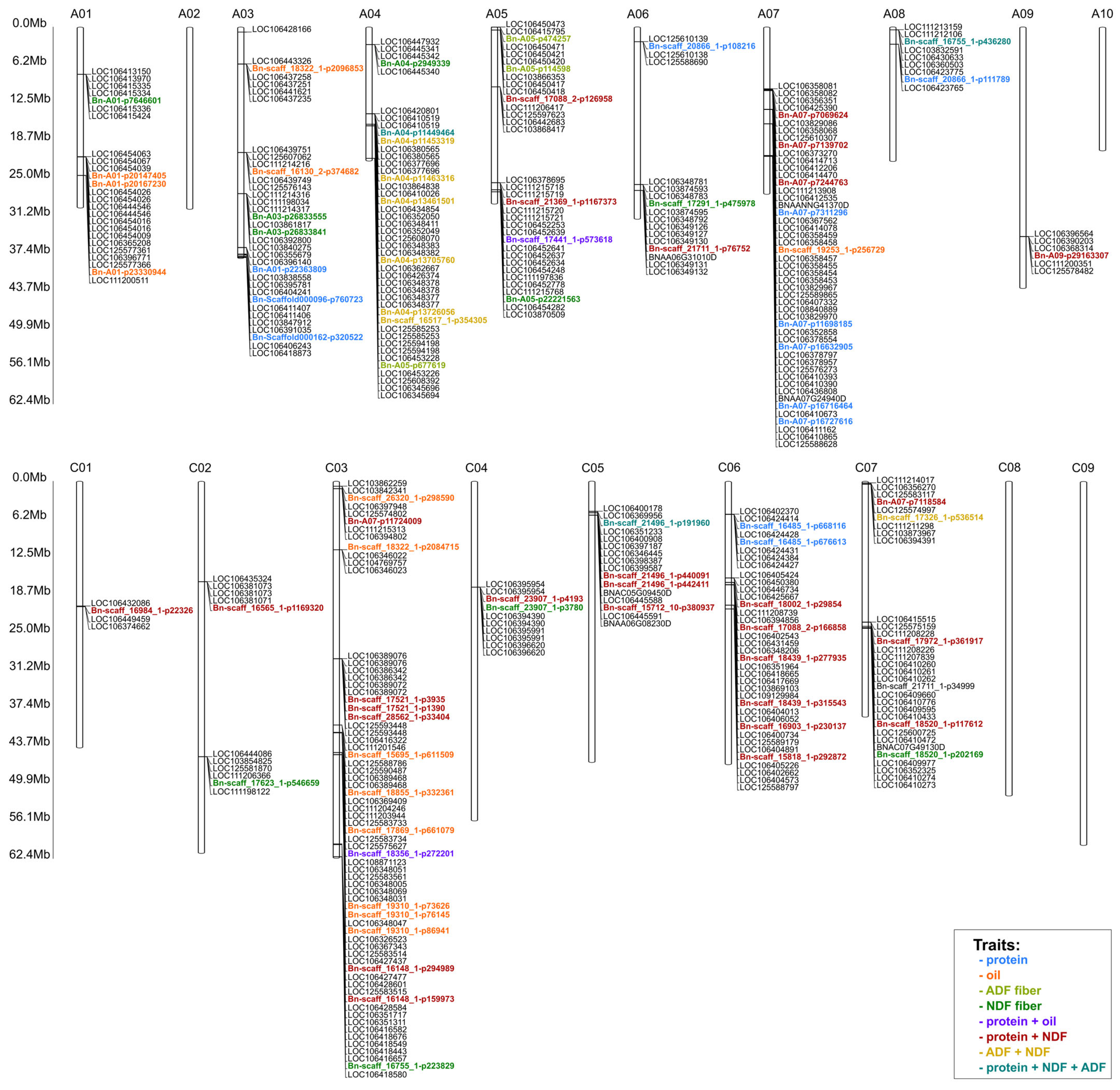 Ijms 26 11931 g006 Ijms 26 11931 g006