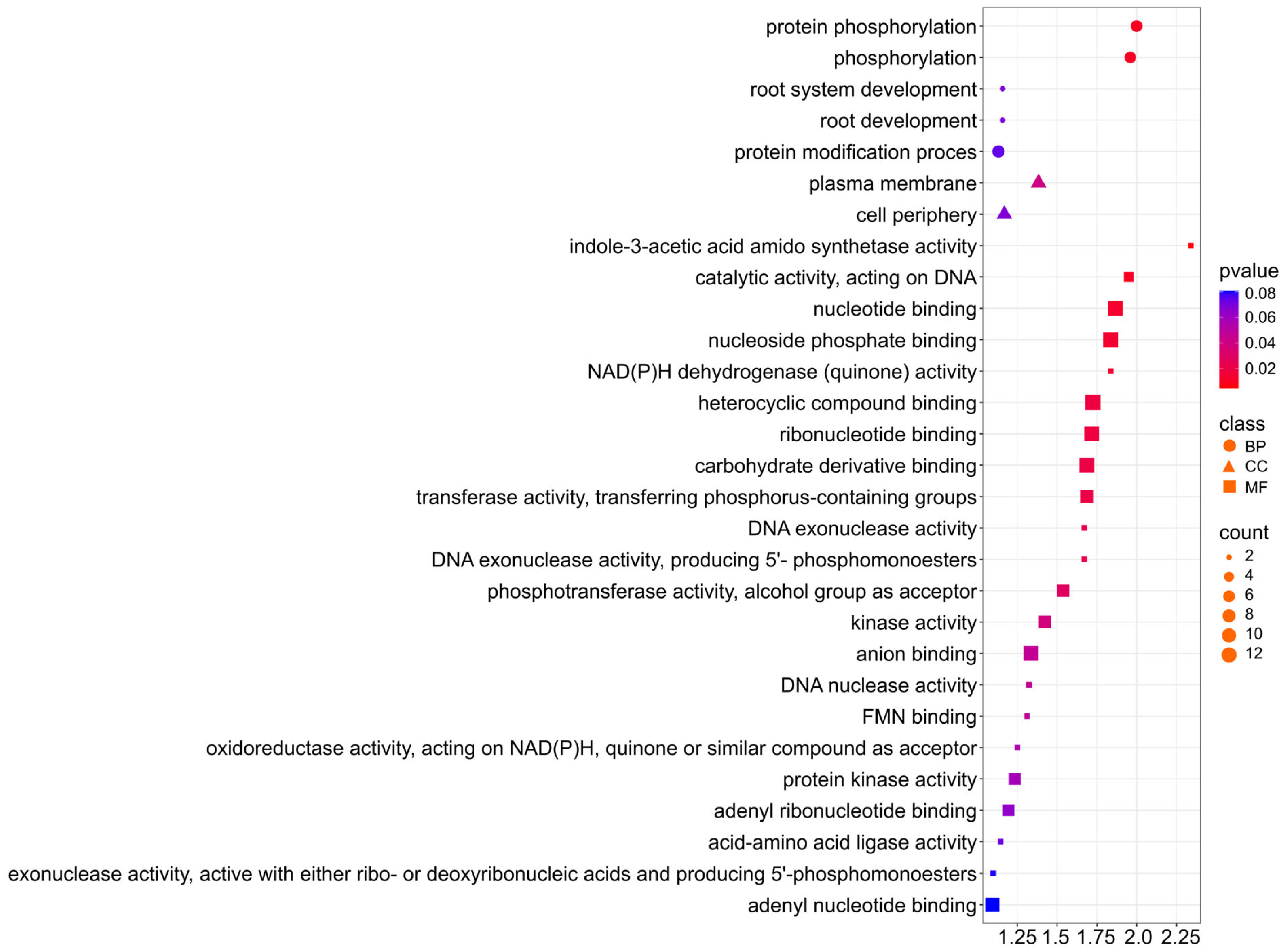 Ijms 26 11931 g008 Ijms 26 11931 g008