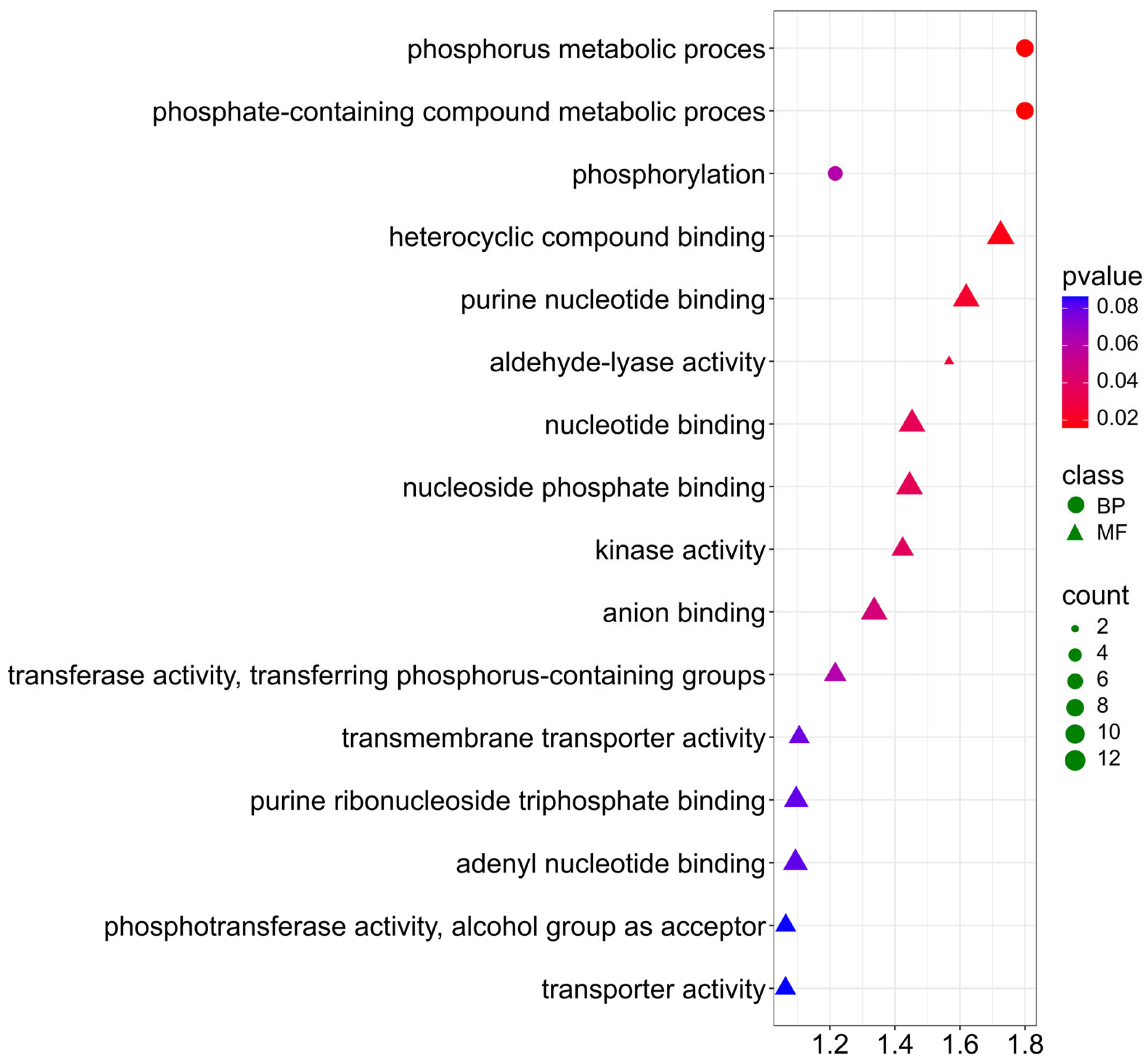 Ijms 26 11931 g010 Ijms 26 11931 g010