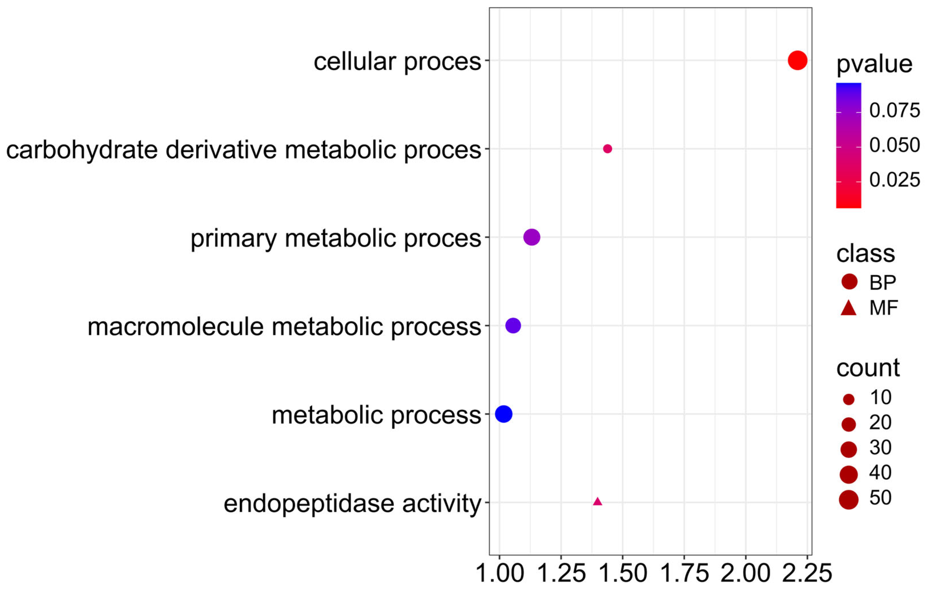 Ijms 26 11931 g011 Ijms 26 11931 g011
