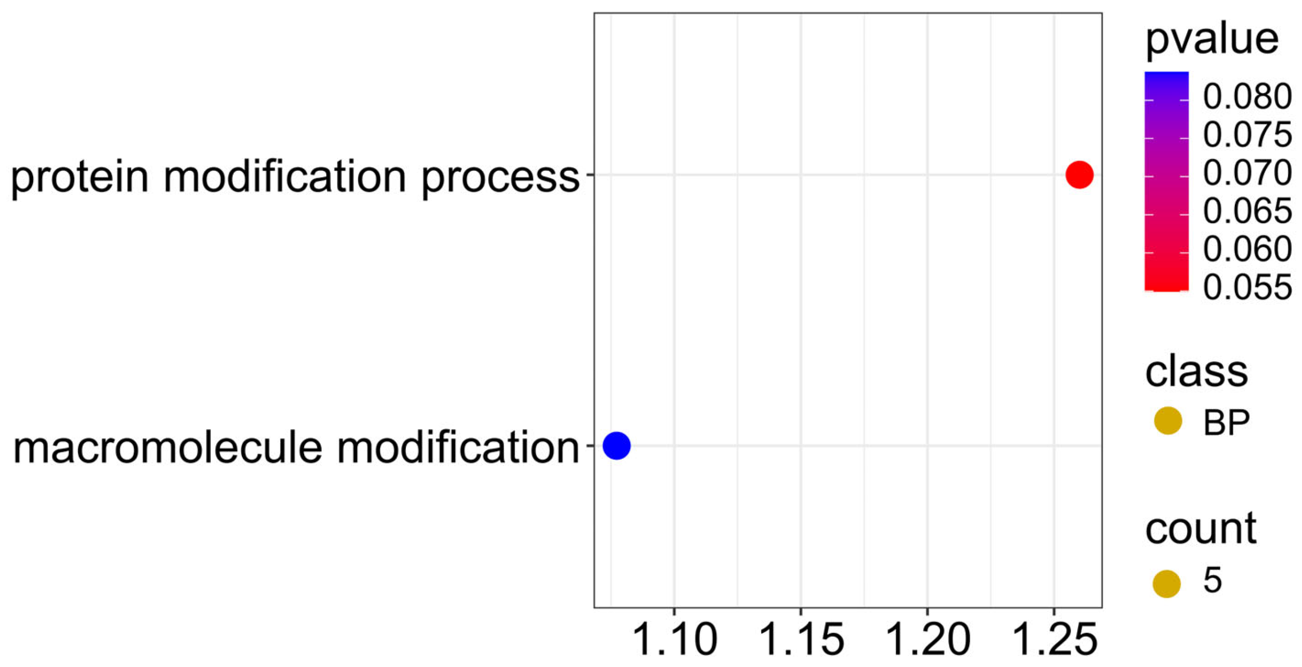 Ijms 26 11931 g012 Ijms 26 11931 g012