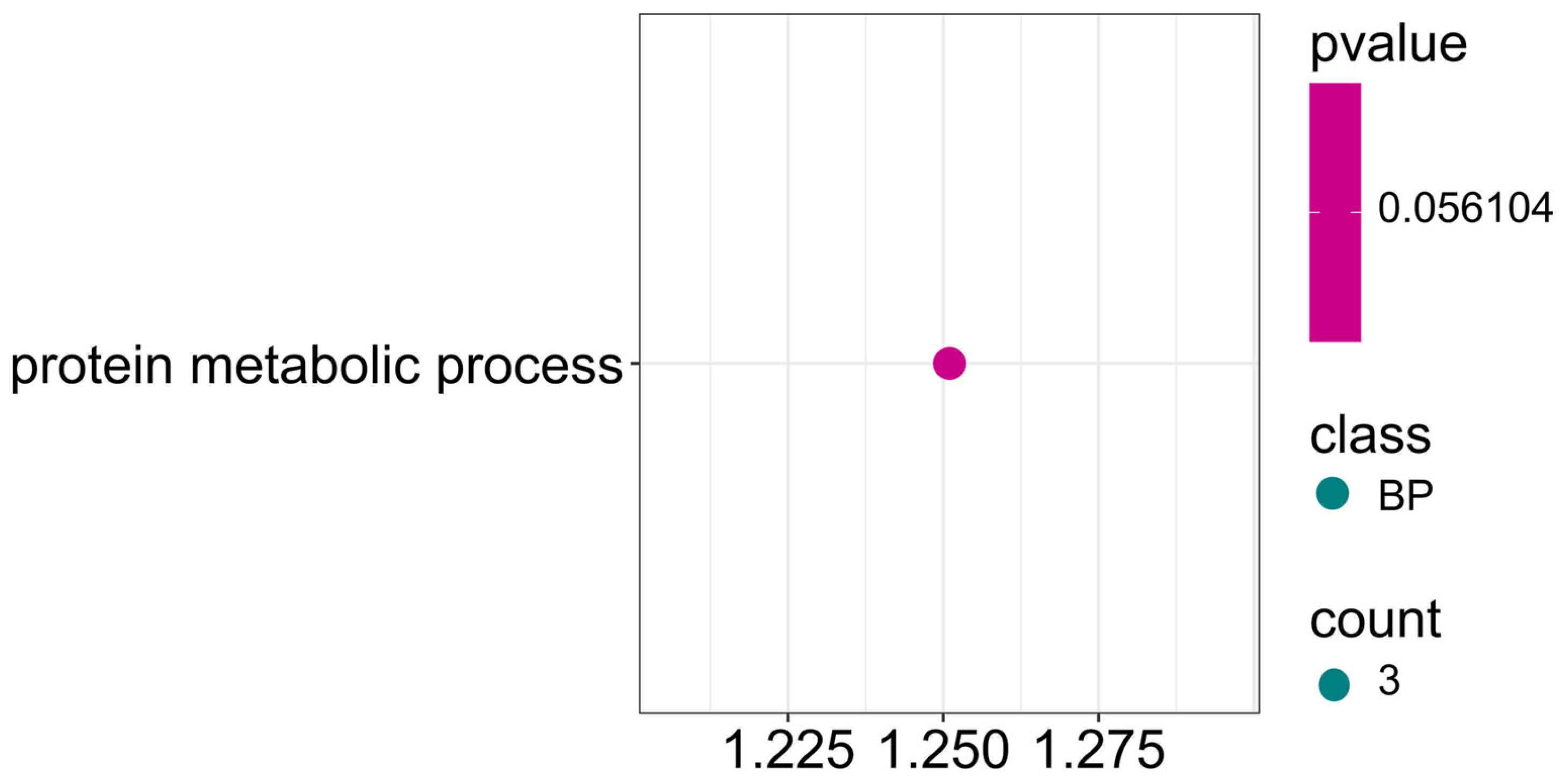 Ijms 26 11931 g013 Ijms 26 11931 g013