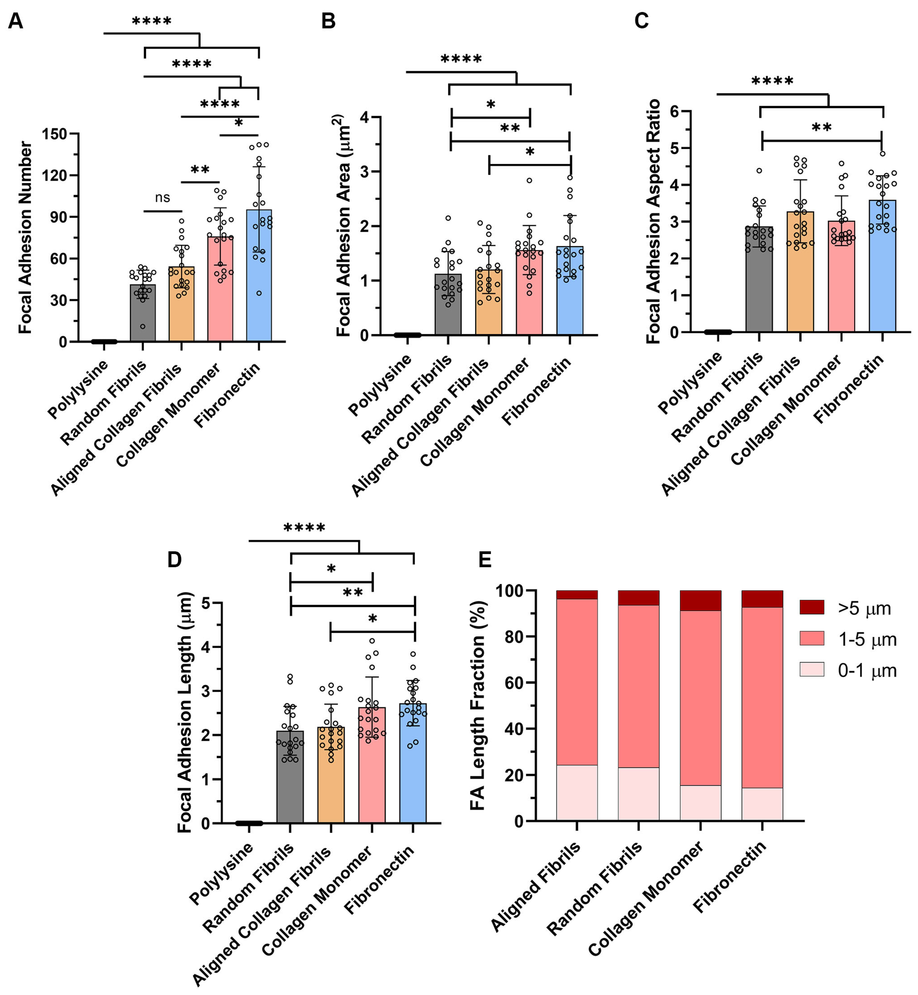 Ijms 26 11935 g002 Ijms 26 11935 g002