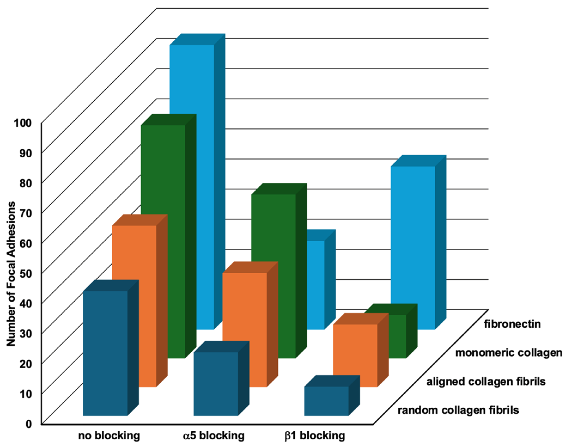 Ijms 26 11935 g008 Ijms 26 11935 g008
