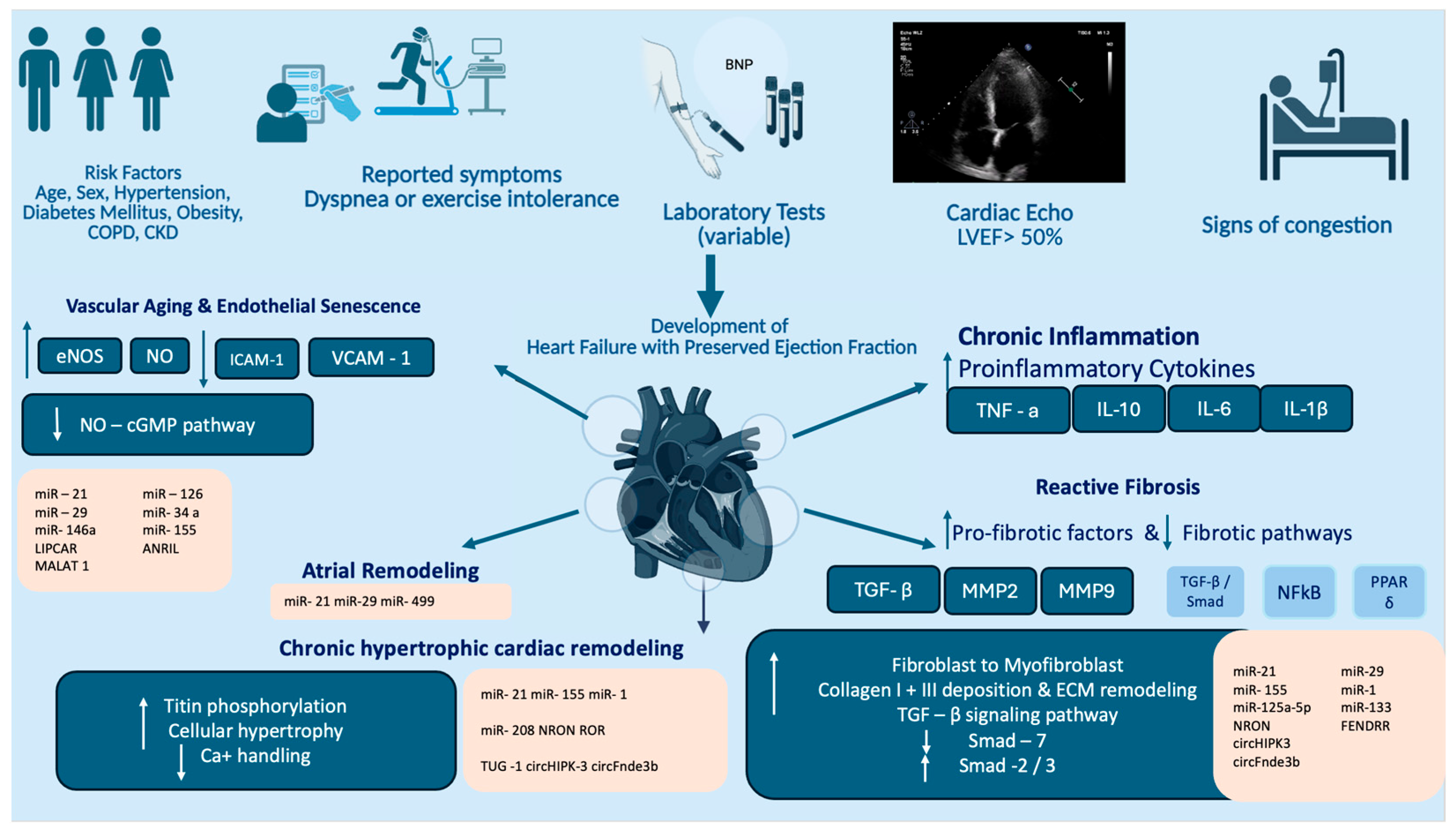 Ijms 26 11937 g001 Ijms 26 11937 g001