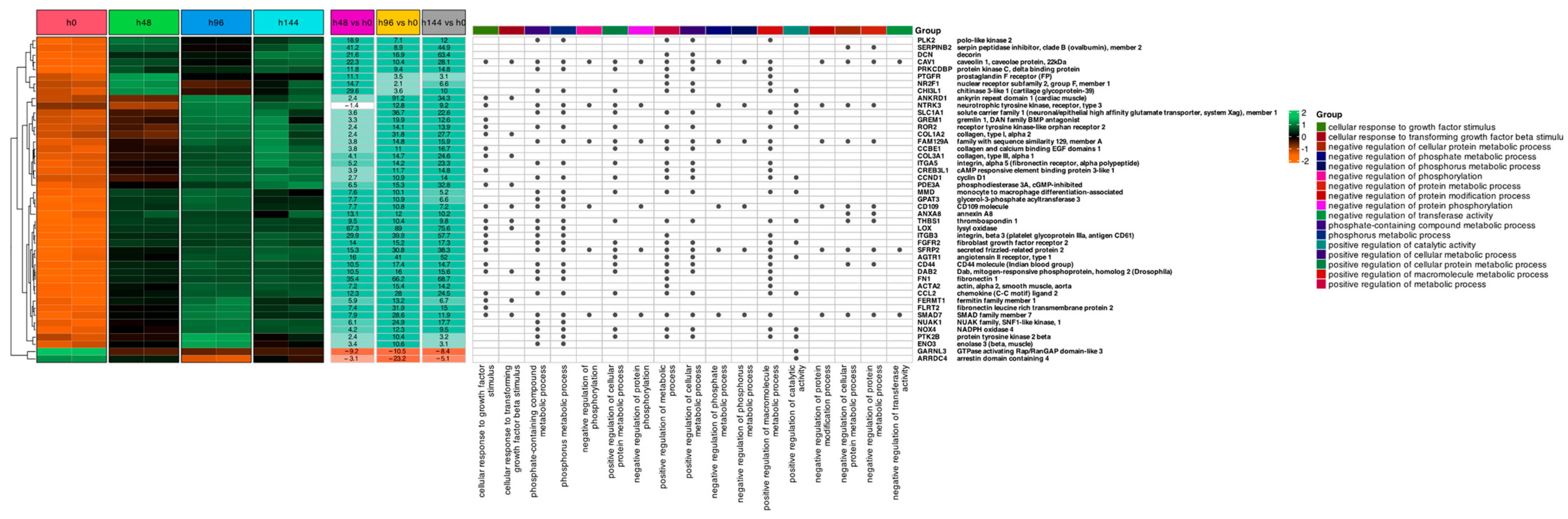 Ijms 26 11942 g001 Ijms 26 11942 g001