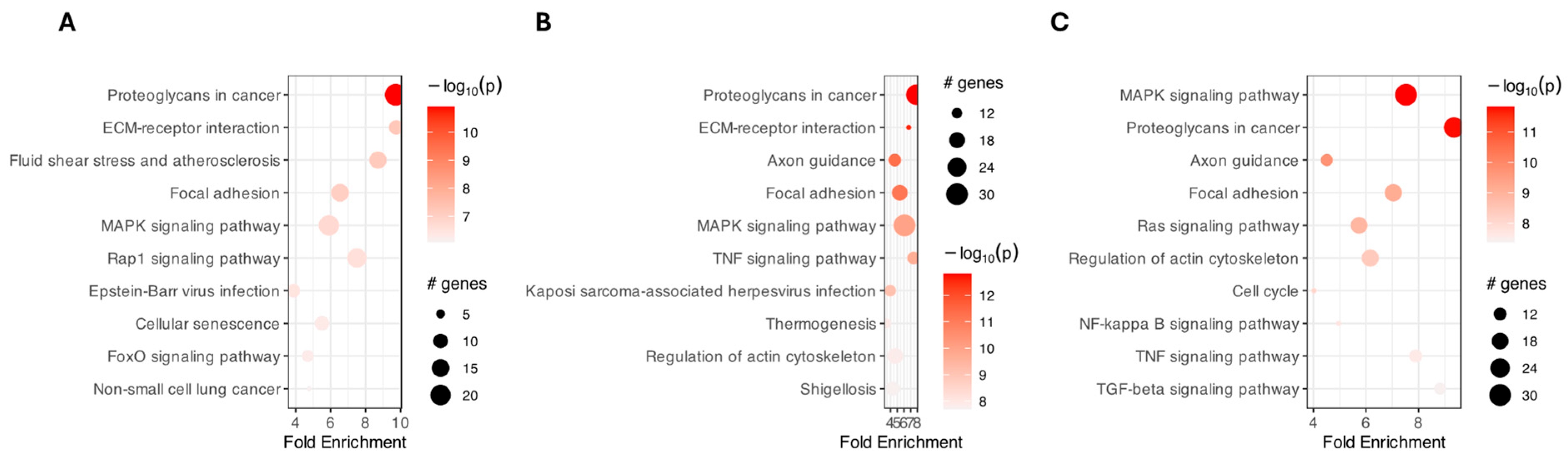 Ijms 26 11942 g004 Ijms 26 11942 g004