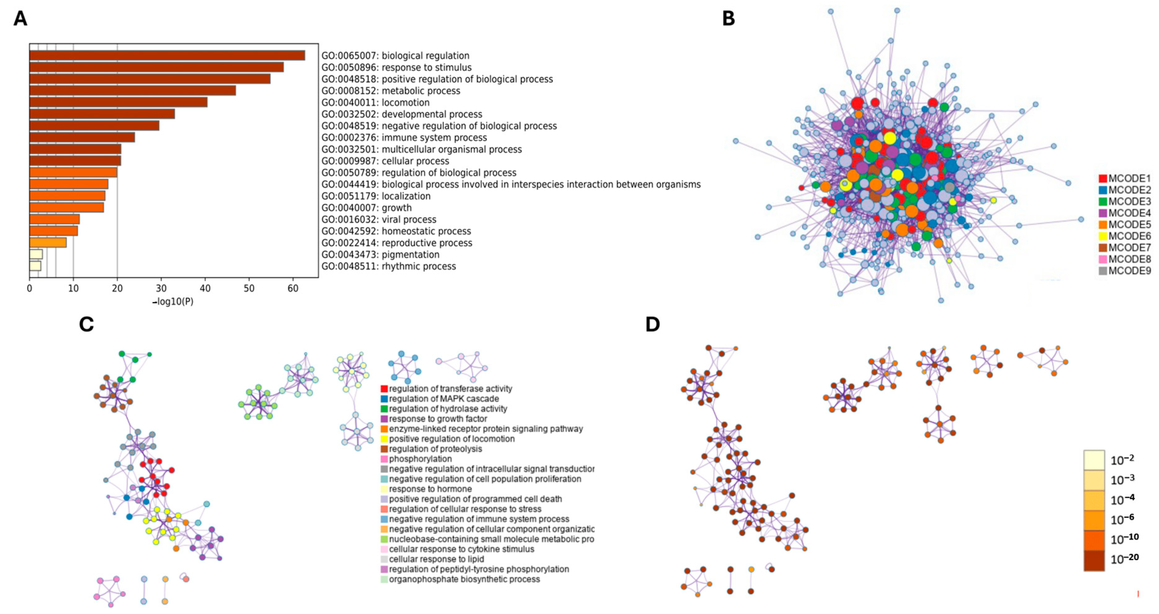 Ijms 26 11942 g007 Ijms 26 11942 g007