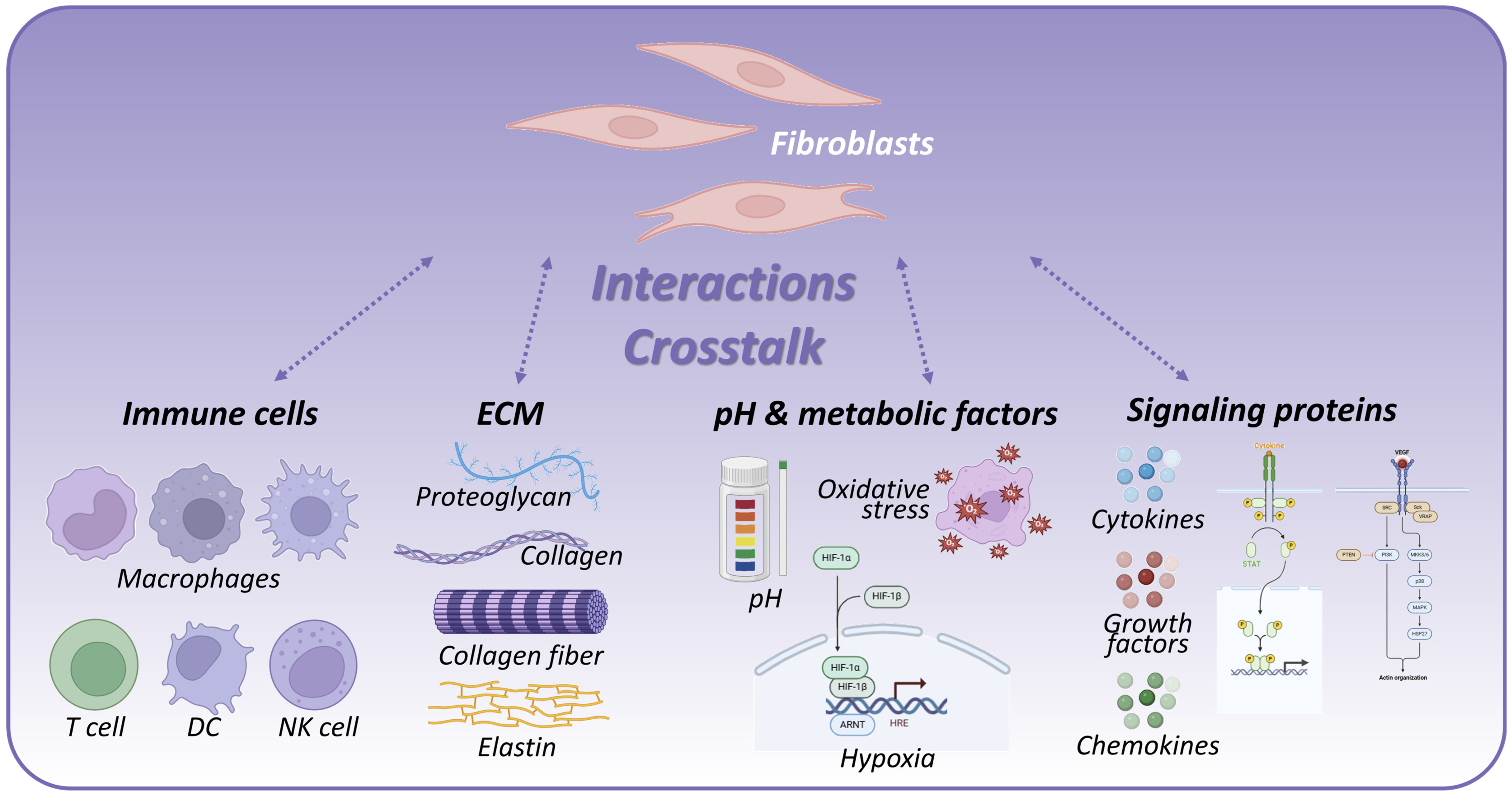Ijms 26 11950 g002 Ijms 26 11950 g002