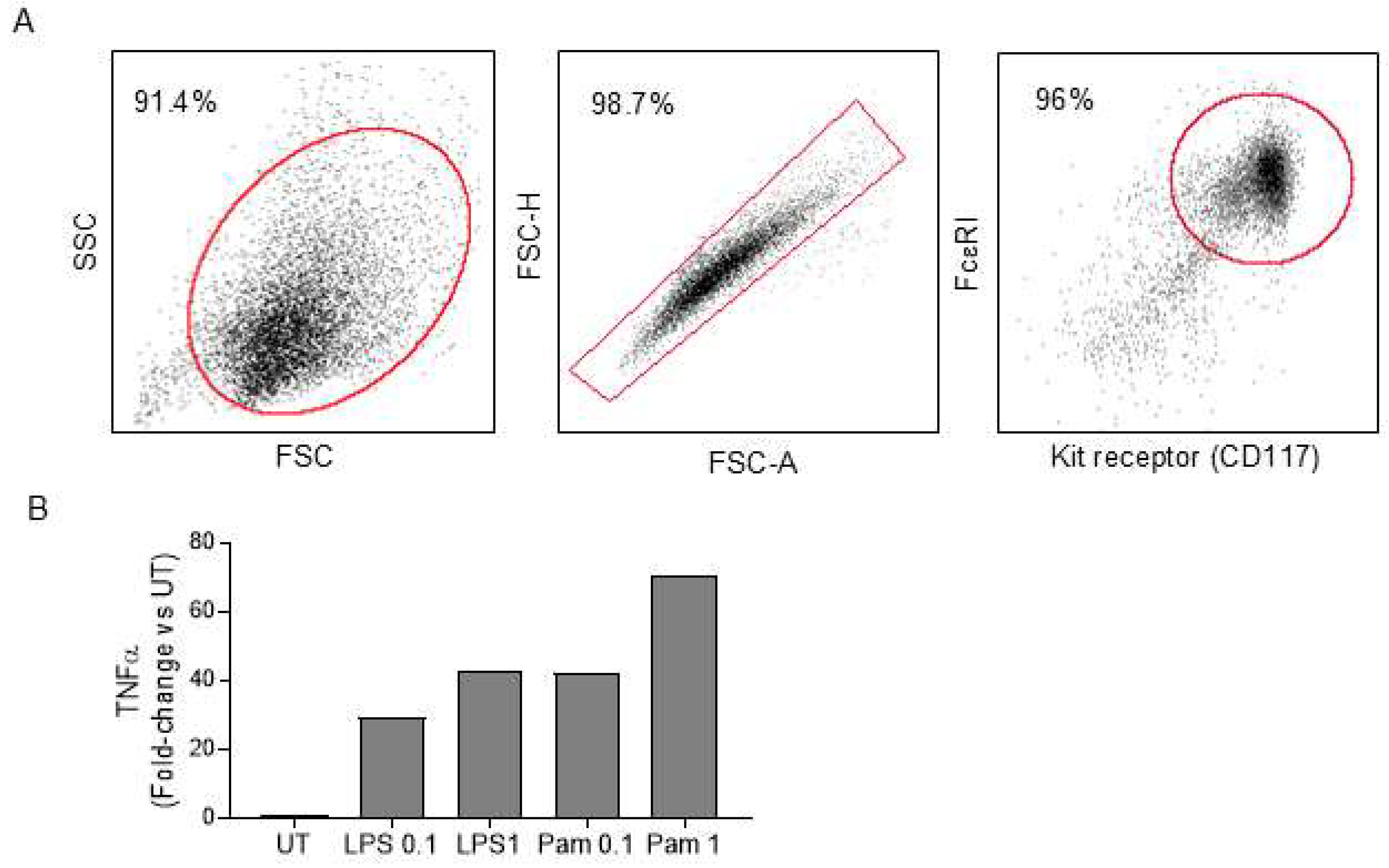 Ijms 26 11952 g002 Ijms 26 11952 g002