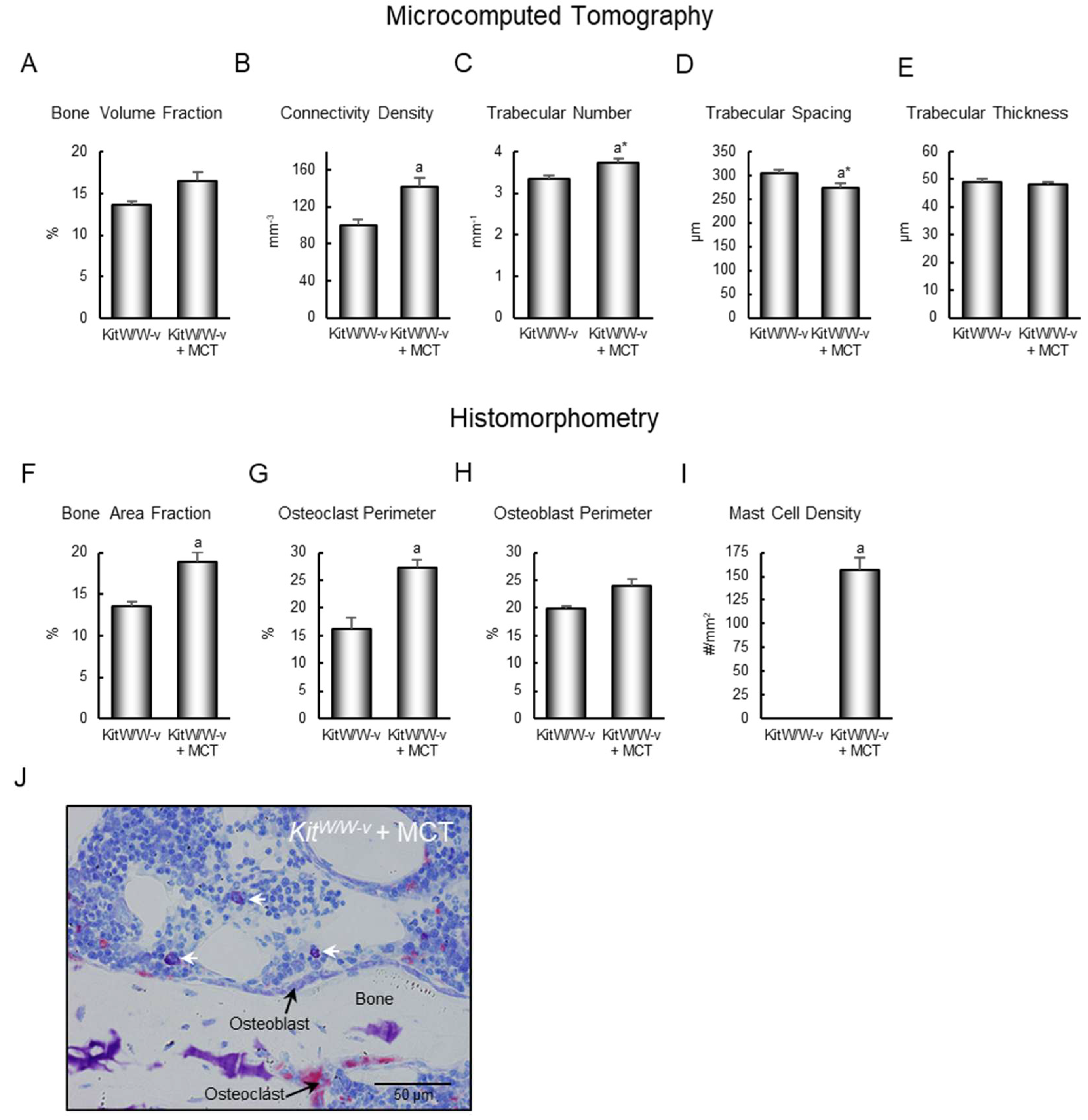 Ijms 26 11952 g004 Ijms 26 11952 g004