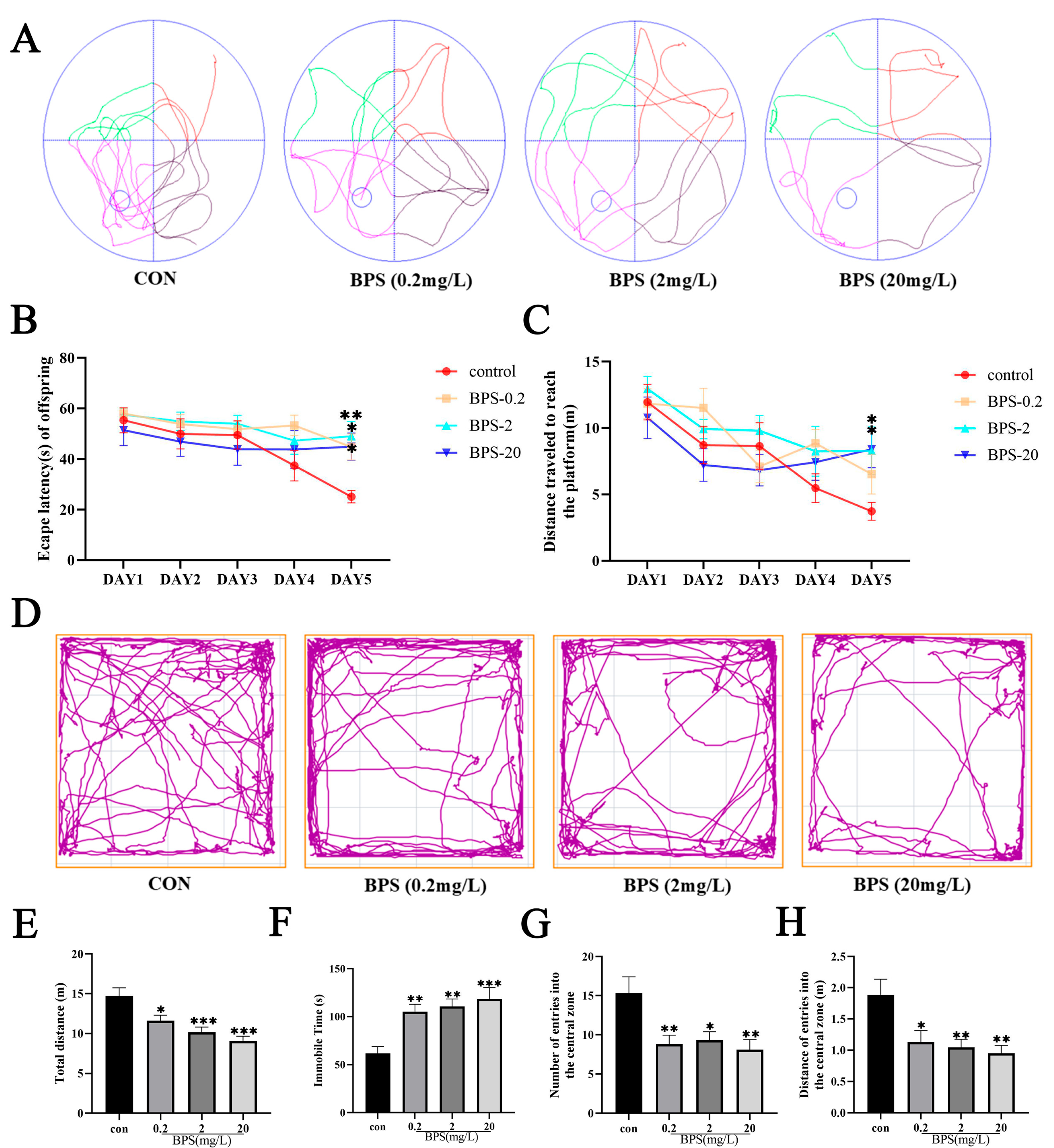 Ijms 26 11953 g001 Ijms 26 11953 g001