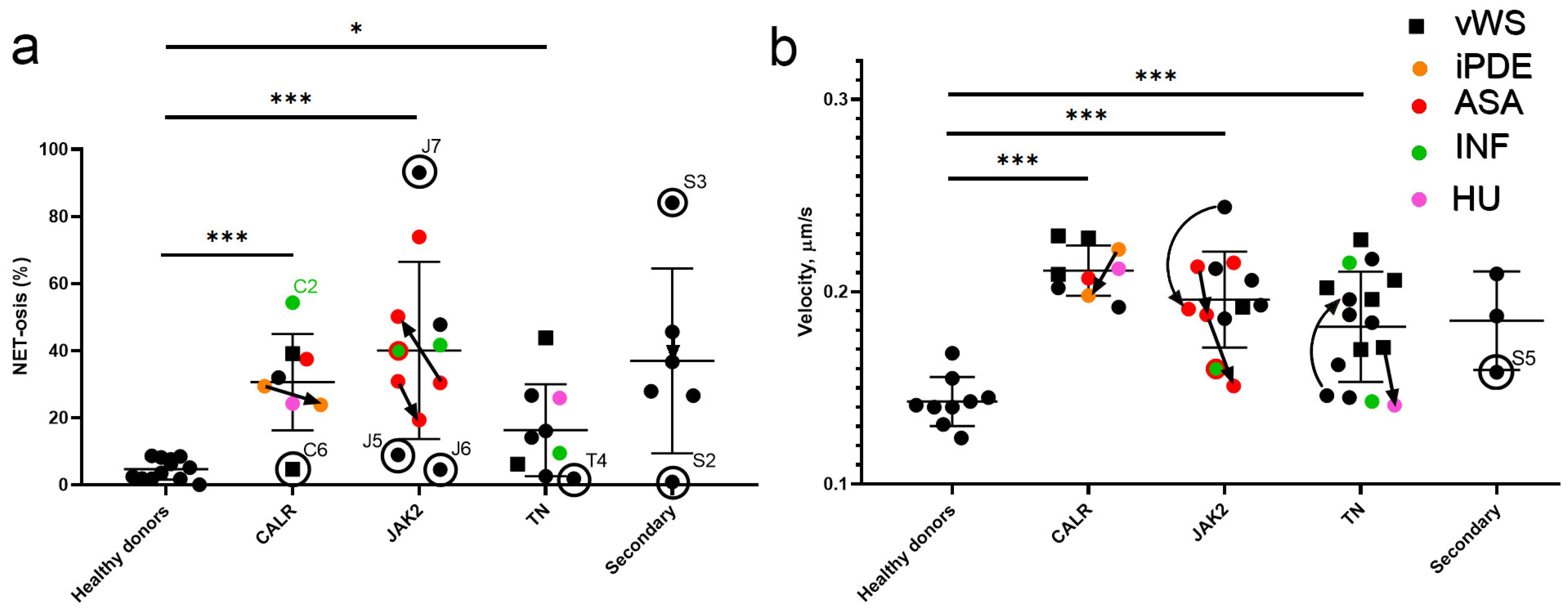 Ijms 26 11958 g004 Ijms 26 11958 g004