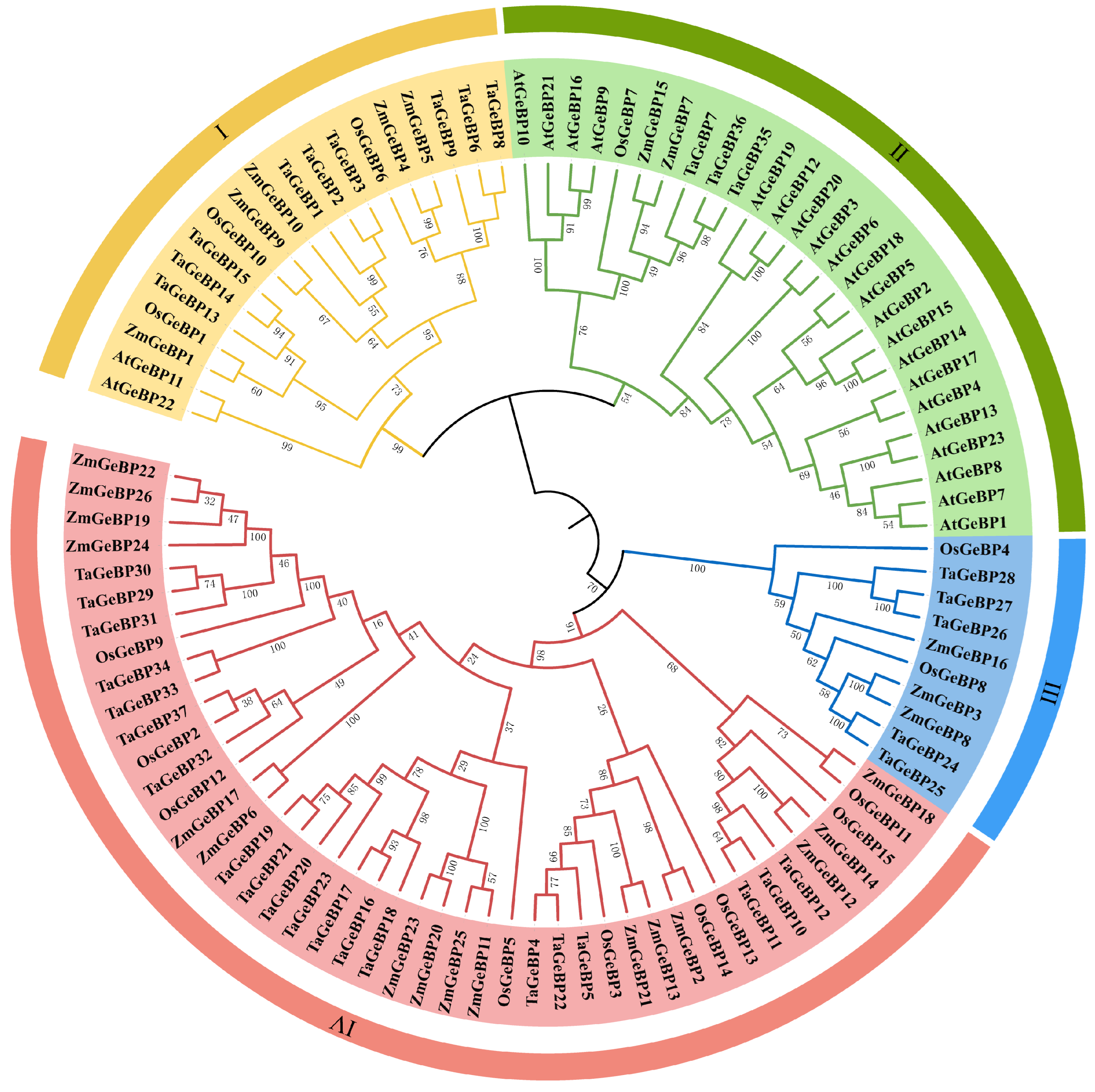 Ijms 26 11972 g001 Ijms 26 11972 g001