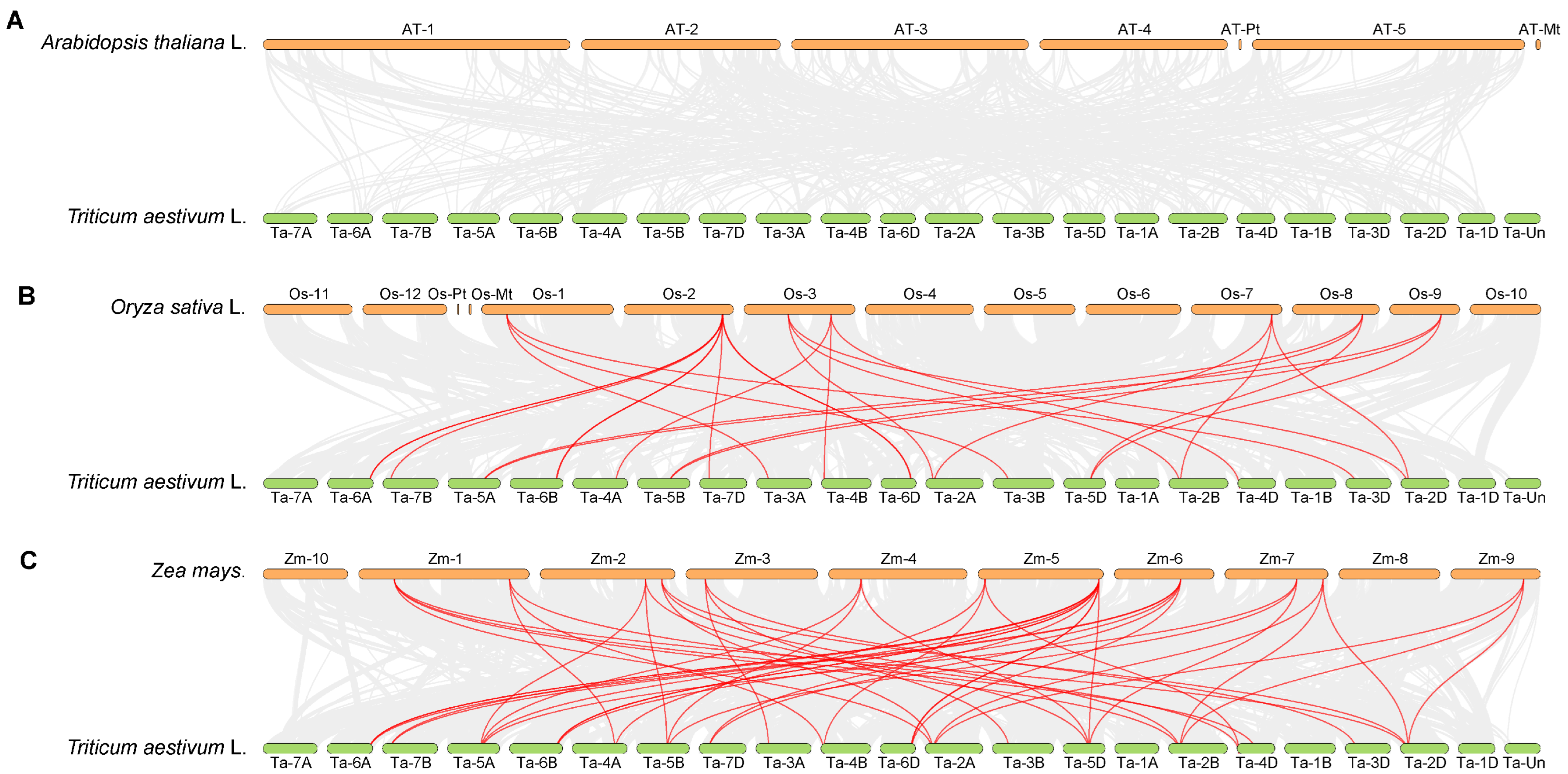 Ijms 26 11972 g005 Ijms 26 11972 g005