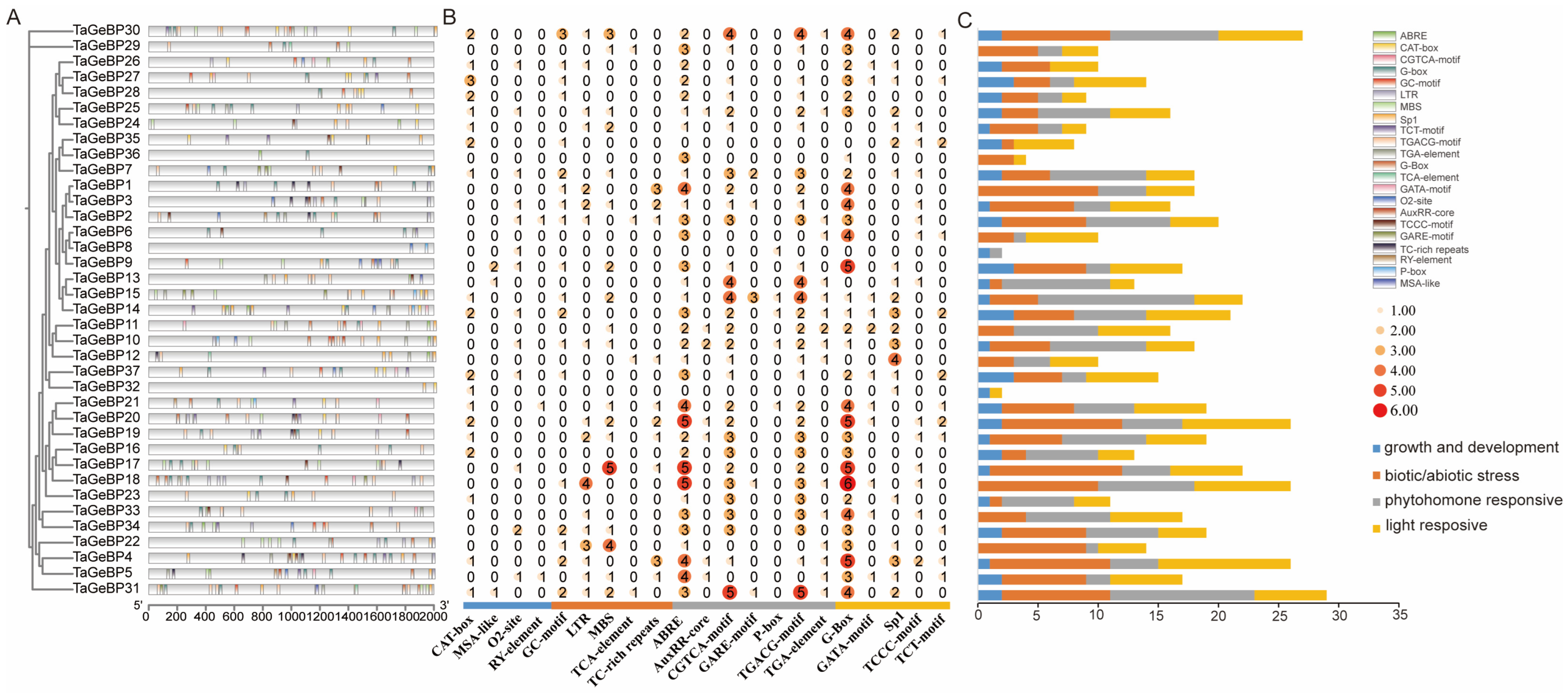 Ijms 26 11972 g006 Ijms 26 11972 g006