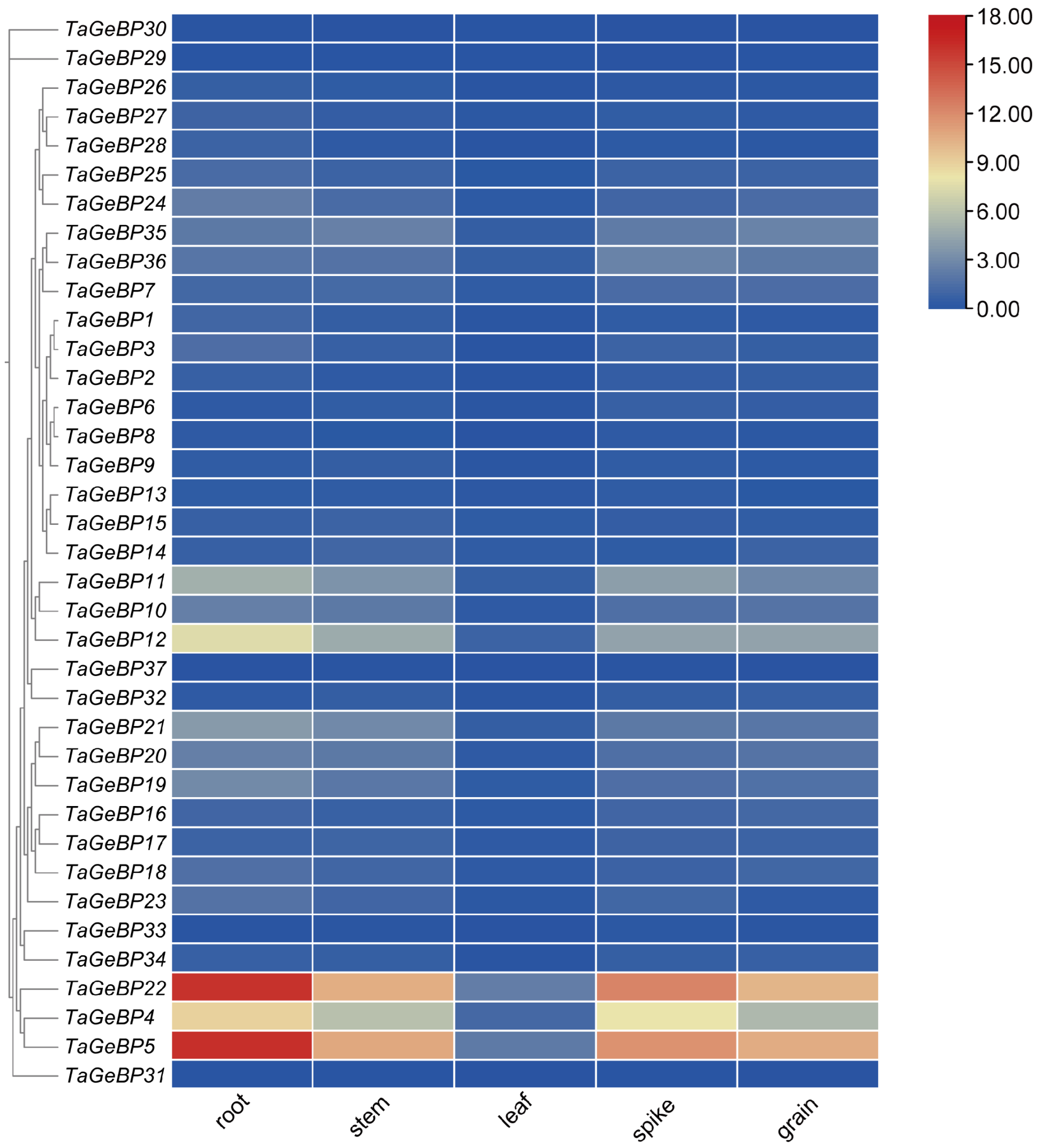 Ijms 26 11972 g007 Ijms 26 11972 g007