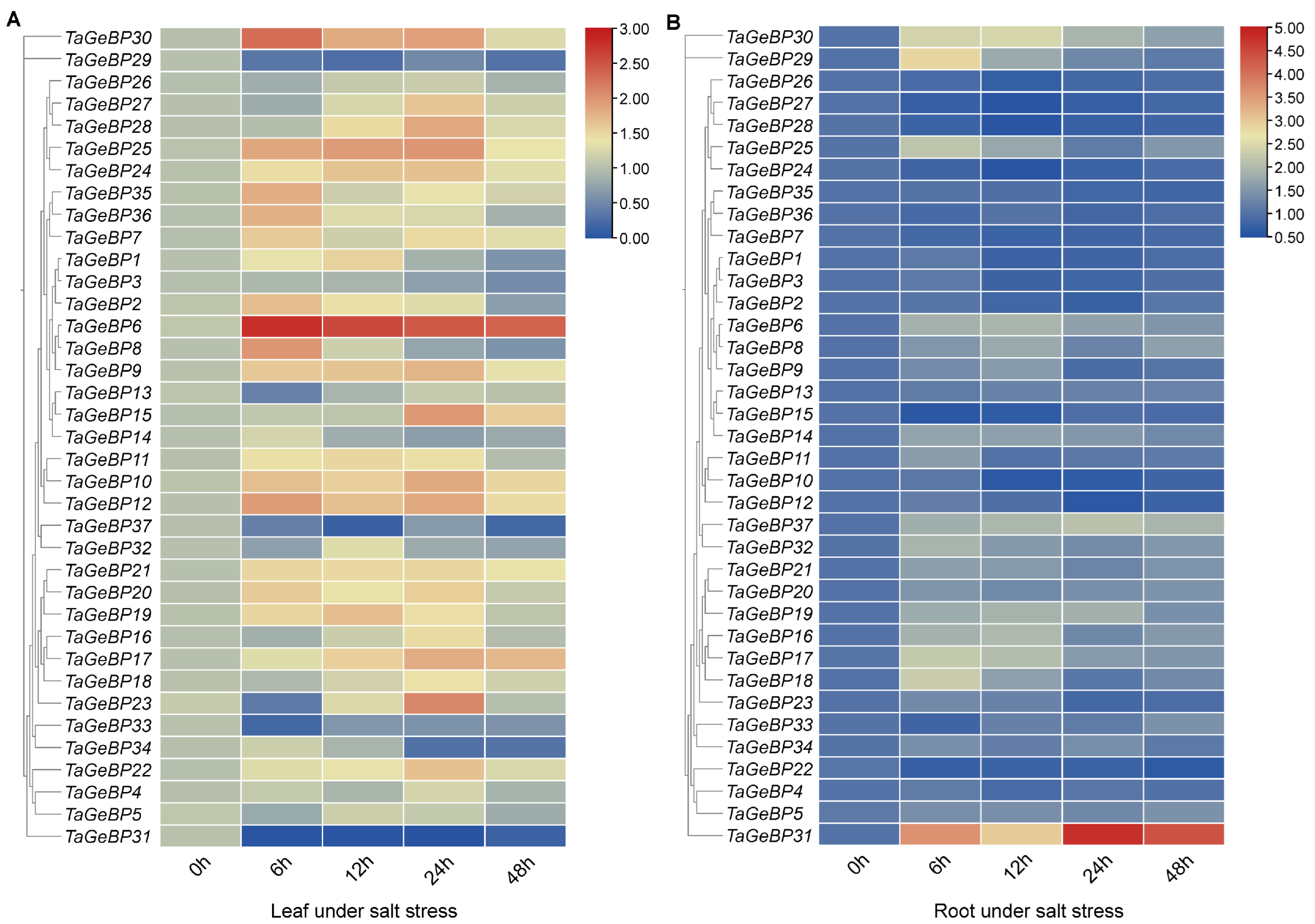 Ijms 26 11972 g008 Ijms 26 11972 g008