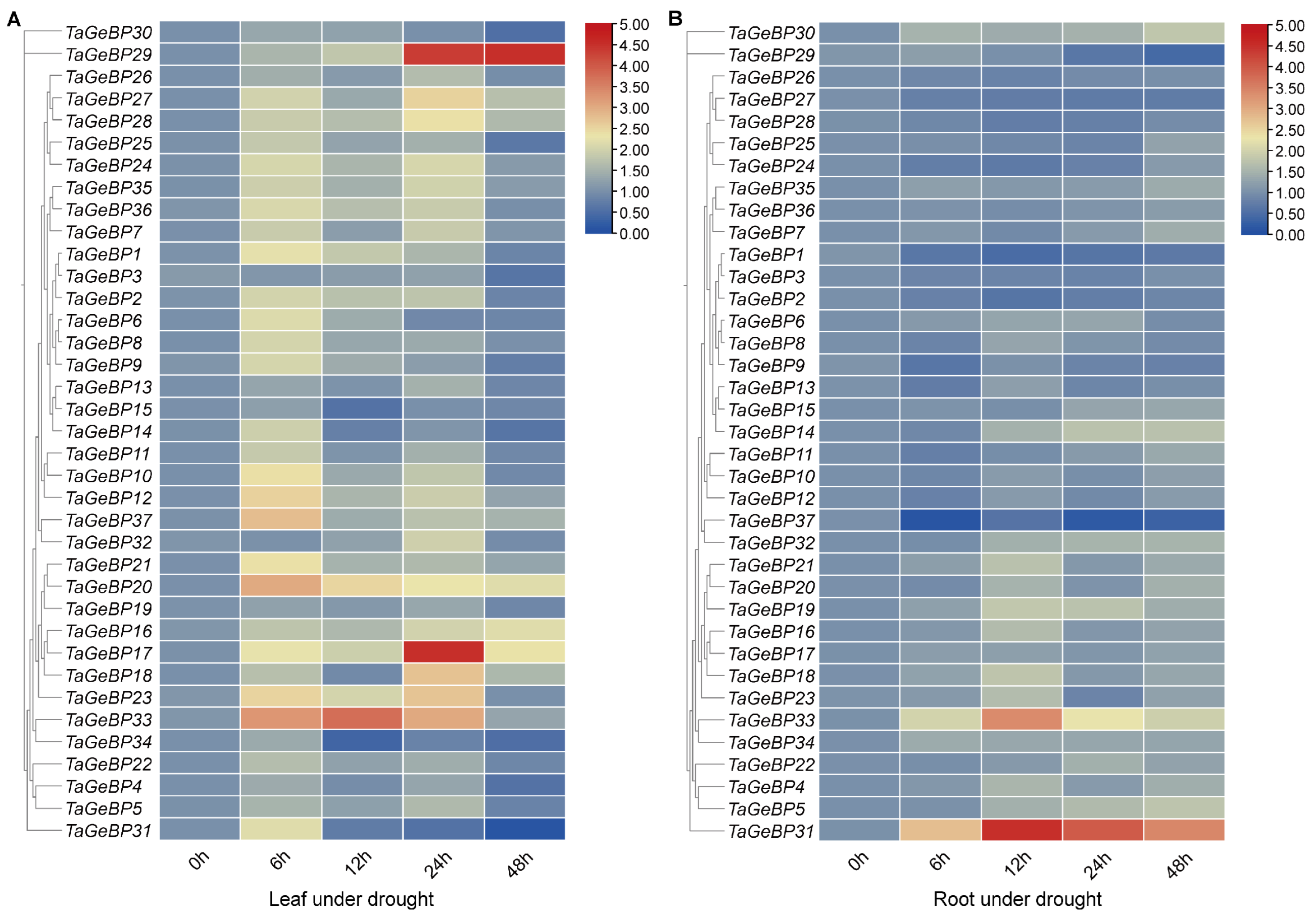 Ijms 26 11972 g009 Ijms 26 11972 g009