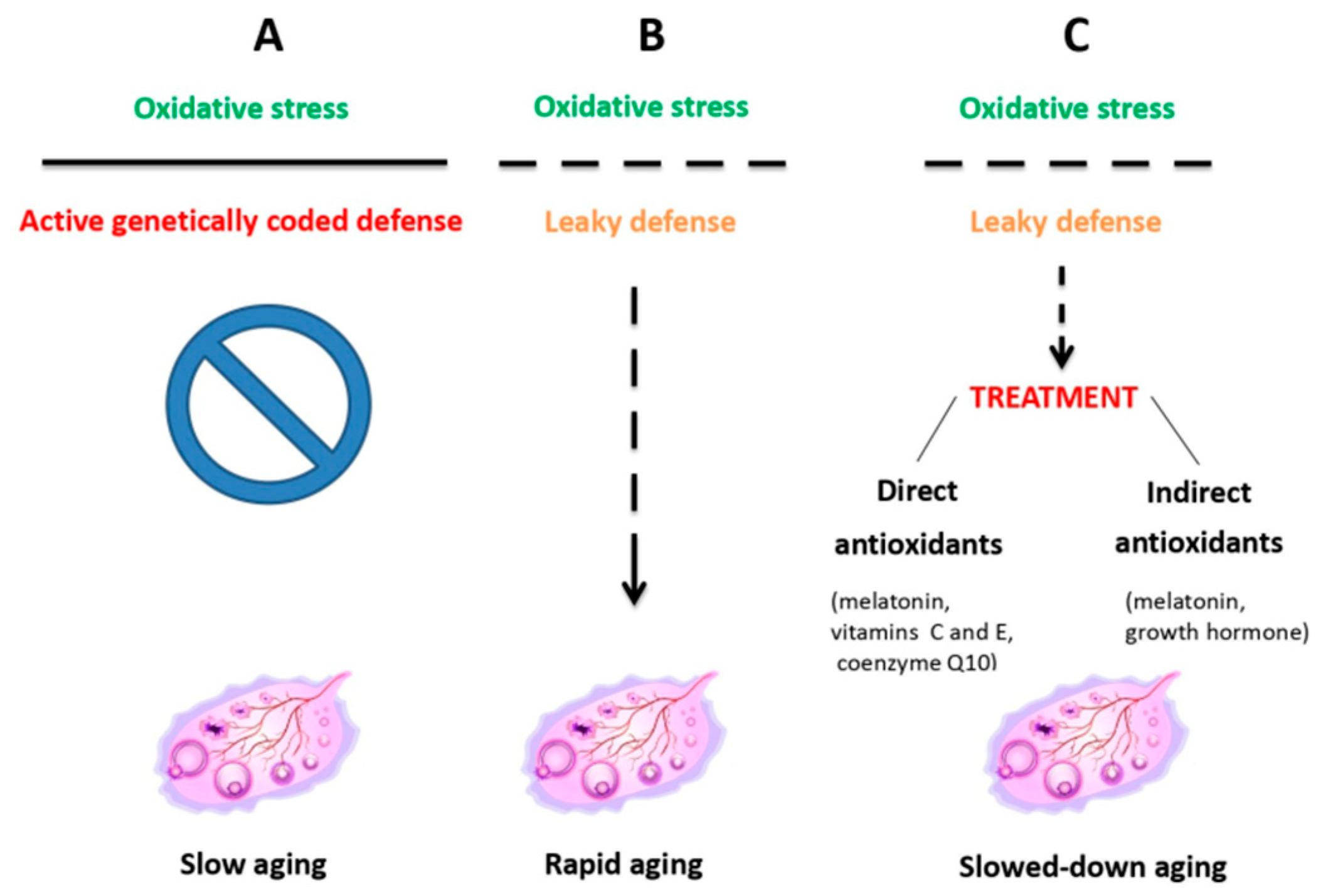 Ijms 26 11973 g002 Ijms 26 11973 g002