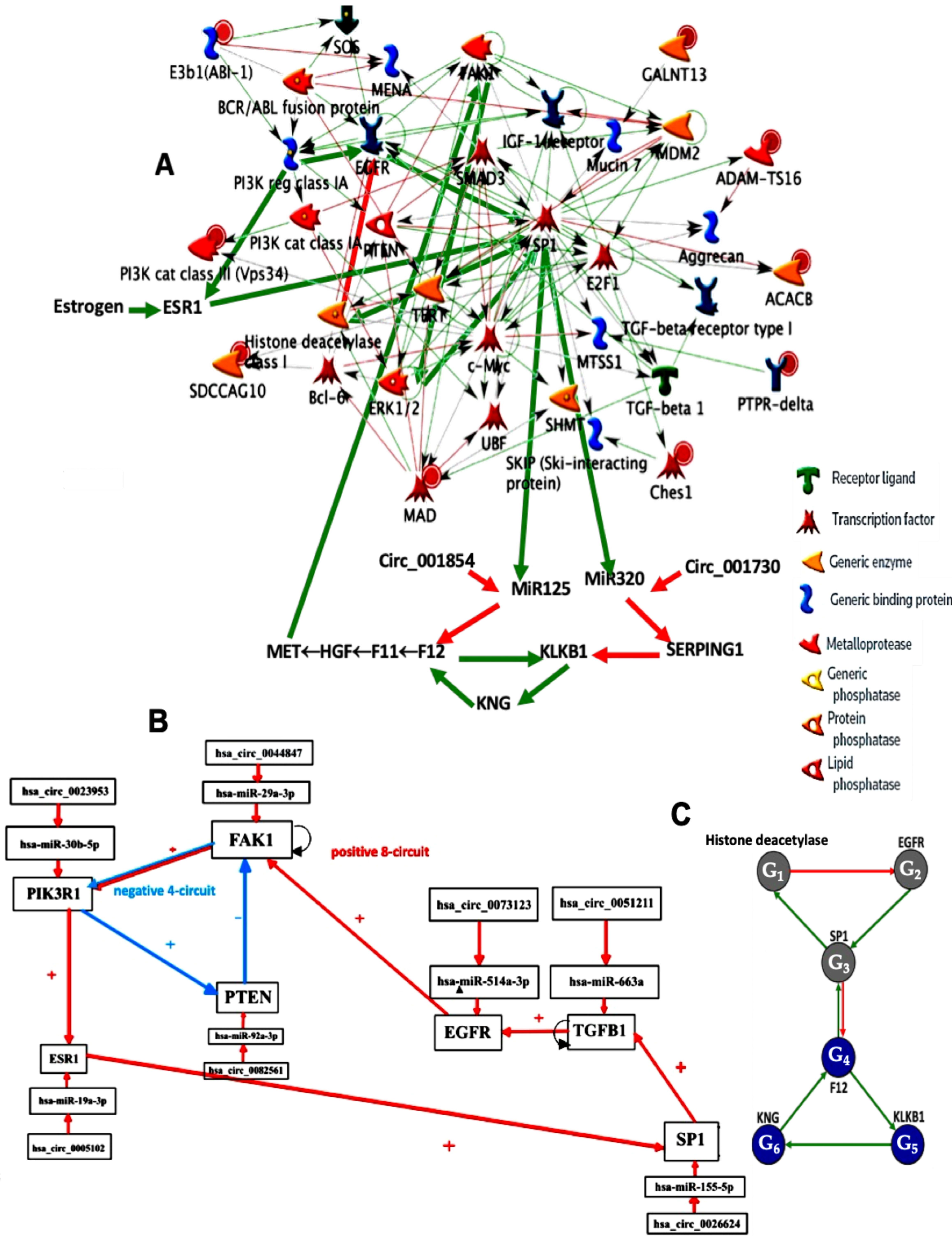 Ijms 26 11976 g001 Ijms 26 11976 g001
