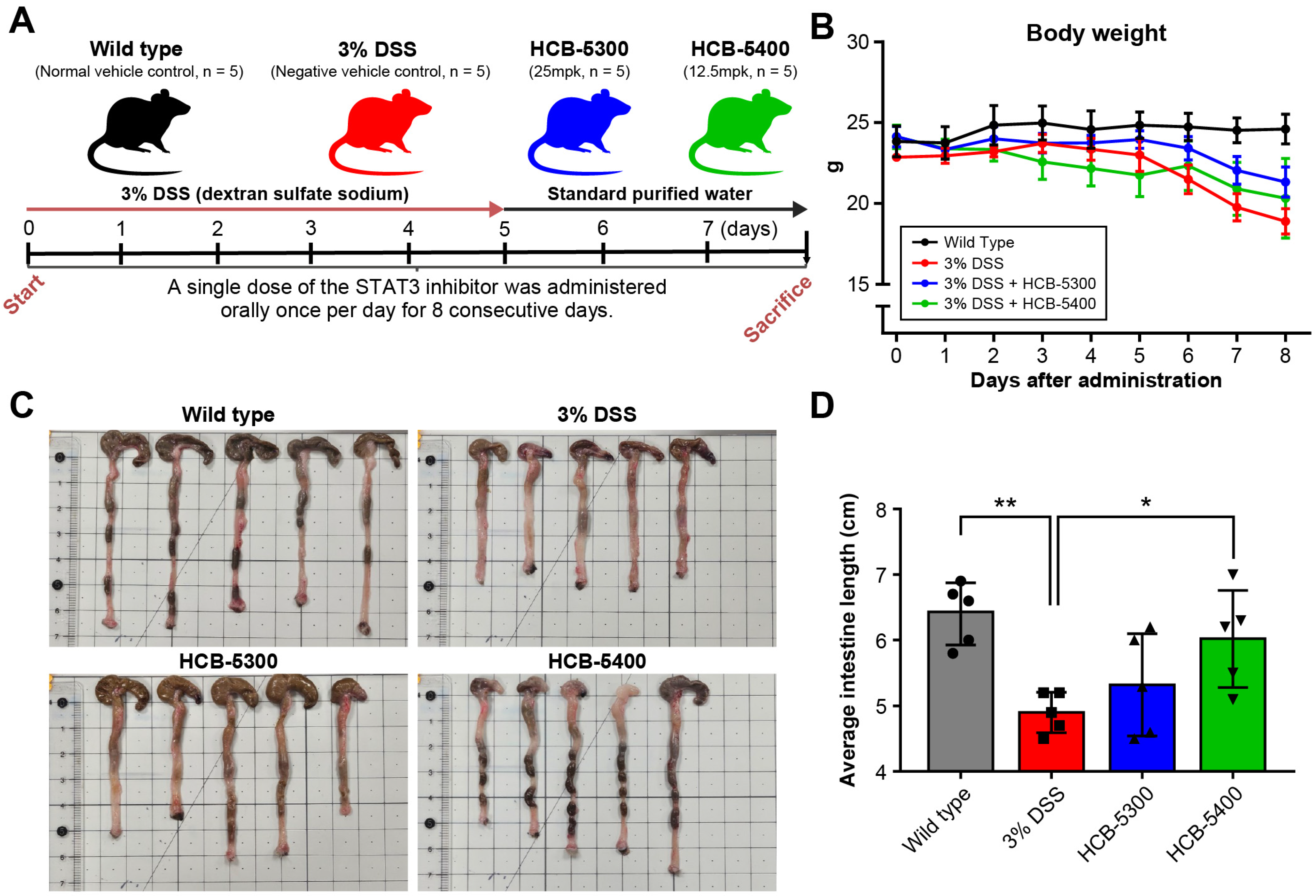 Ijms 26 11981 g003 Ijms 26 11981 g003