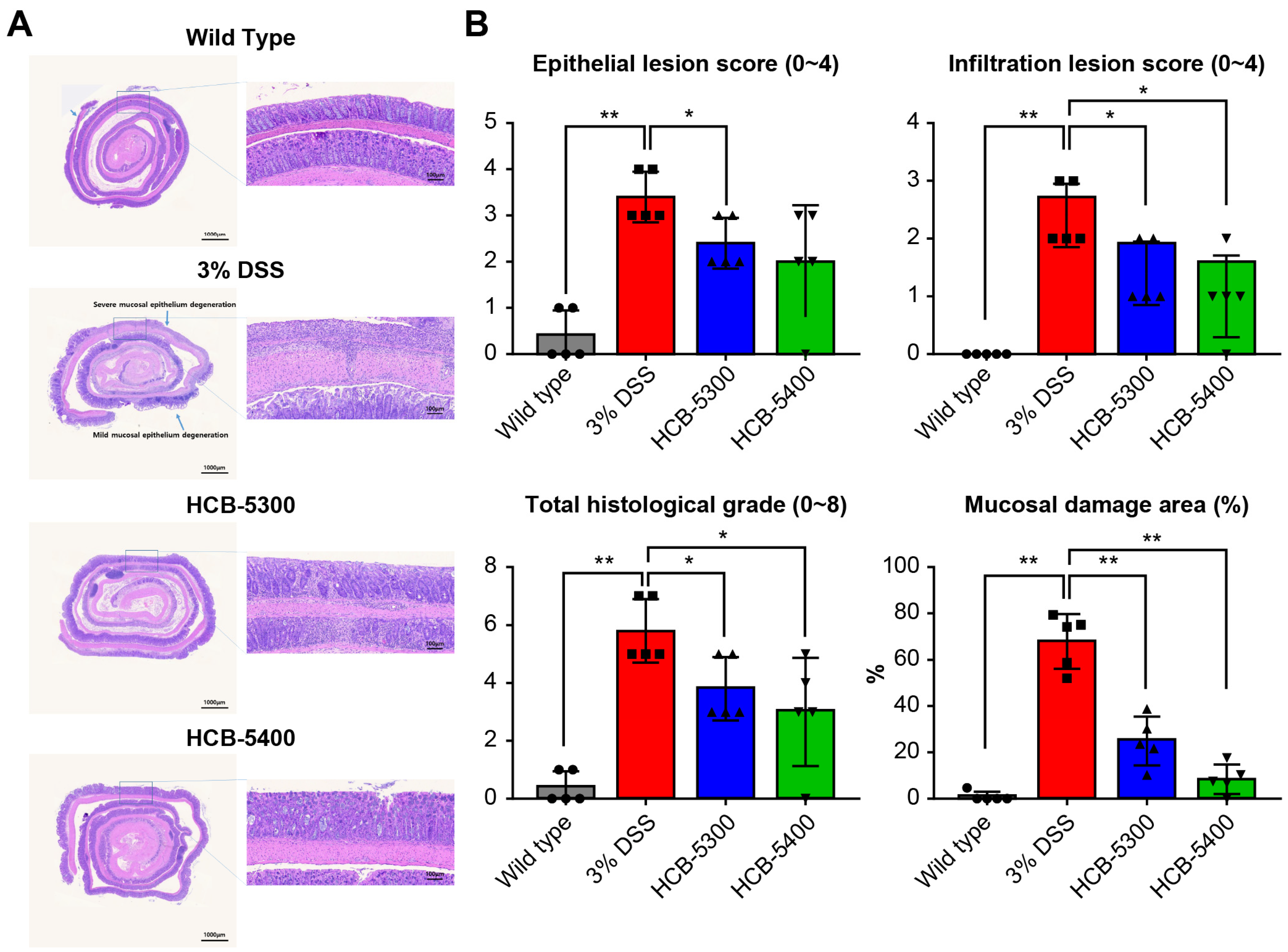 Ijms 26 11981 g005 Ijms 26 11981 g005