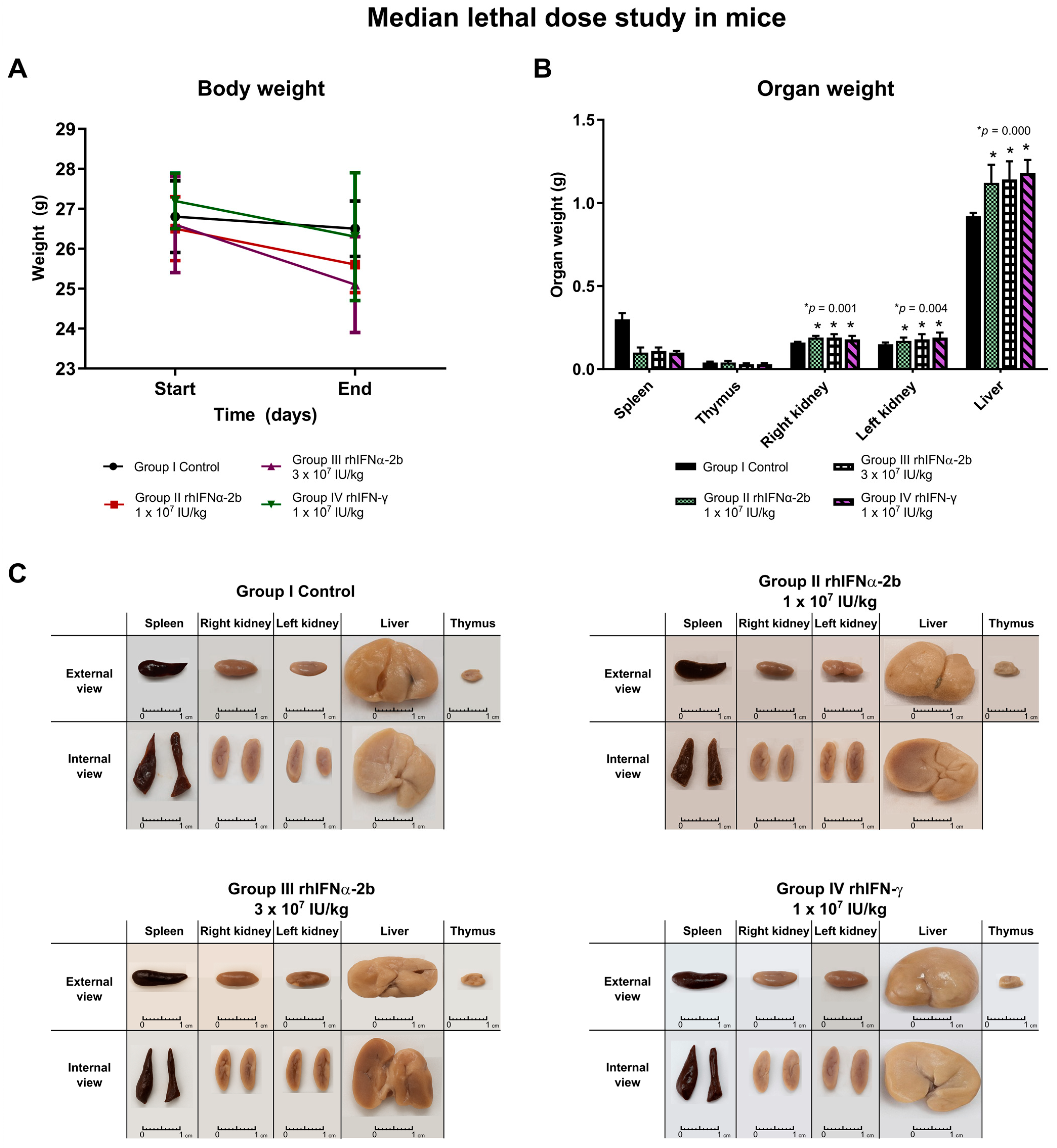 Ijms 26 11982 g004 Ijms 26 11982 g004