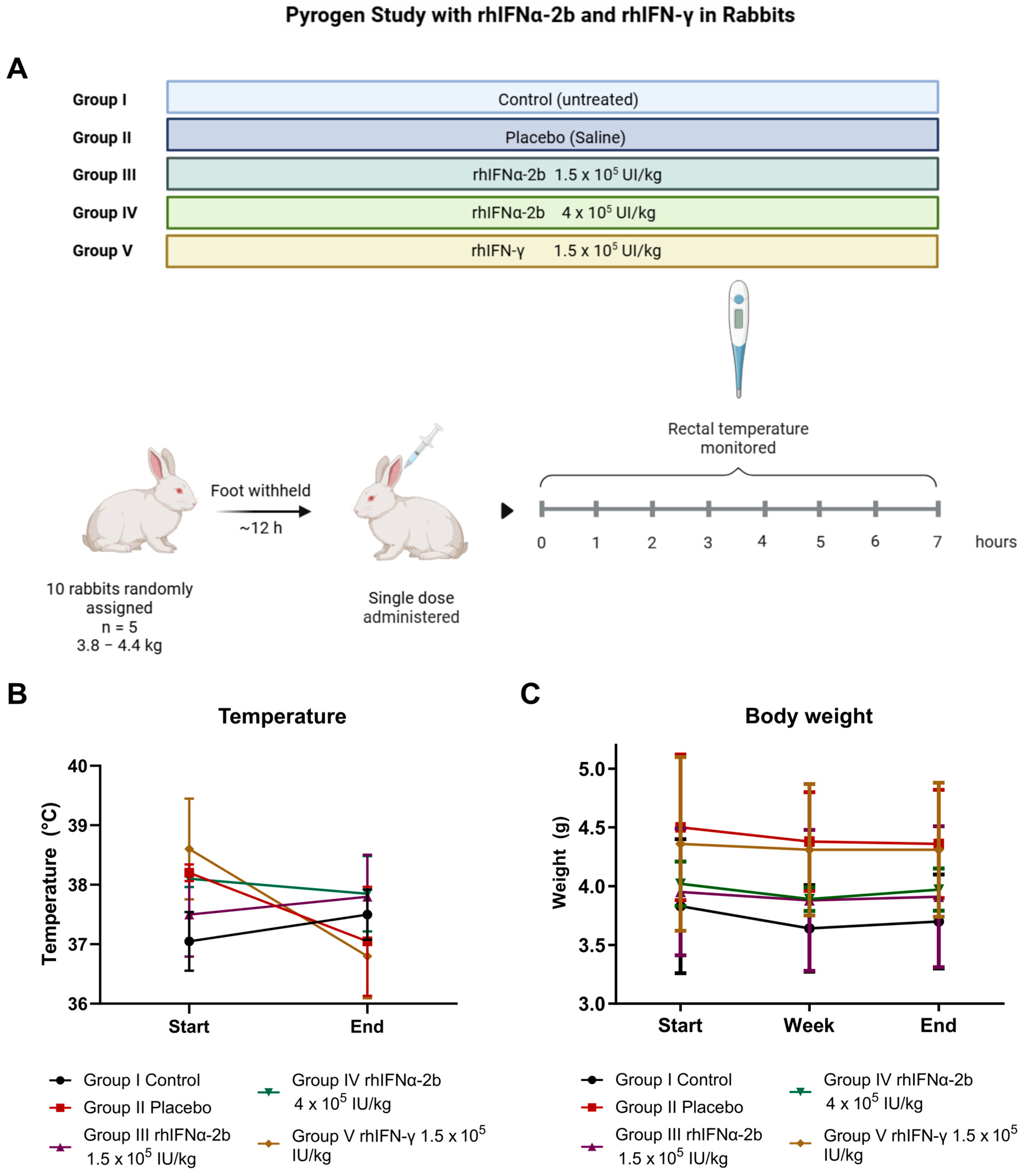 Ijms 26 11982 g007 Ijms 26 11982 g007