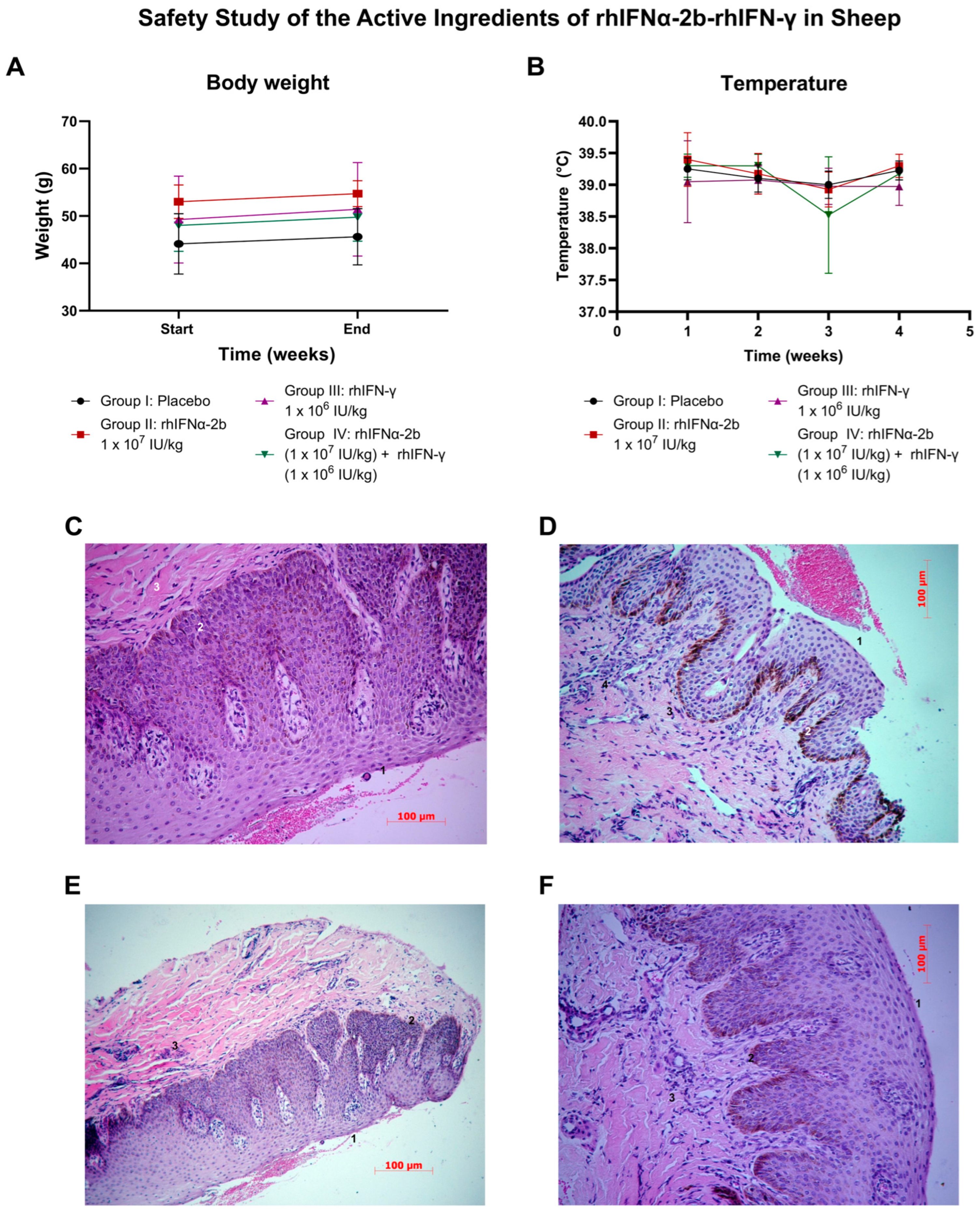 Ijms 26 11982 g008 Ijms 26 11982 g008