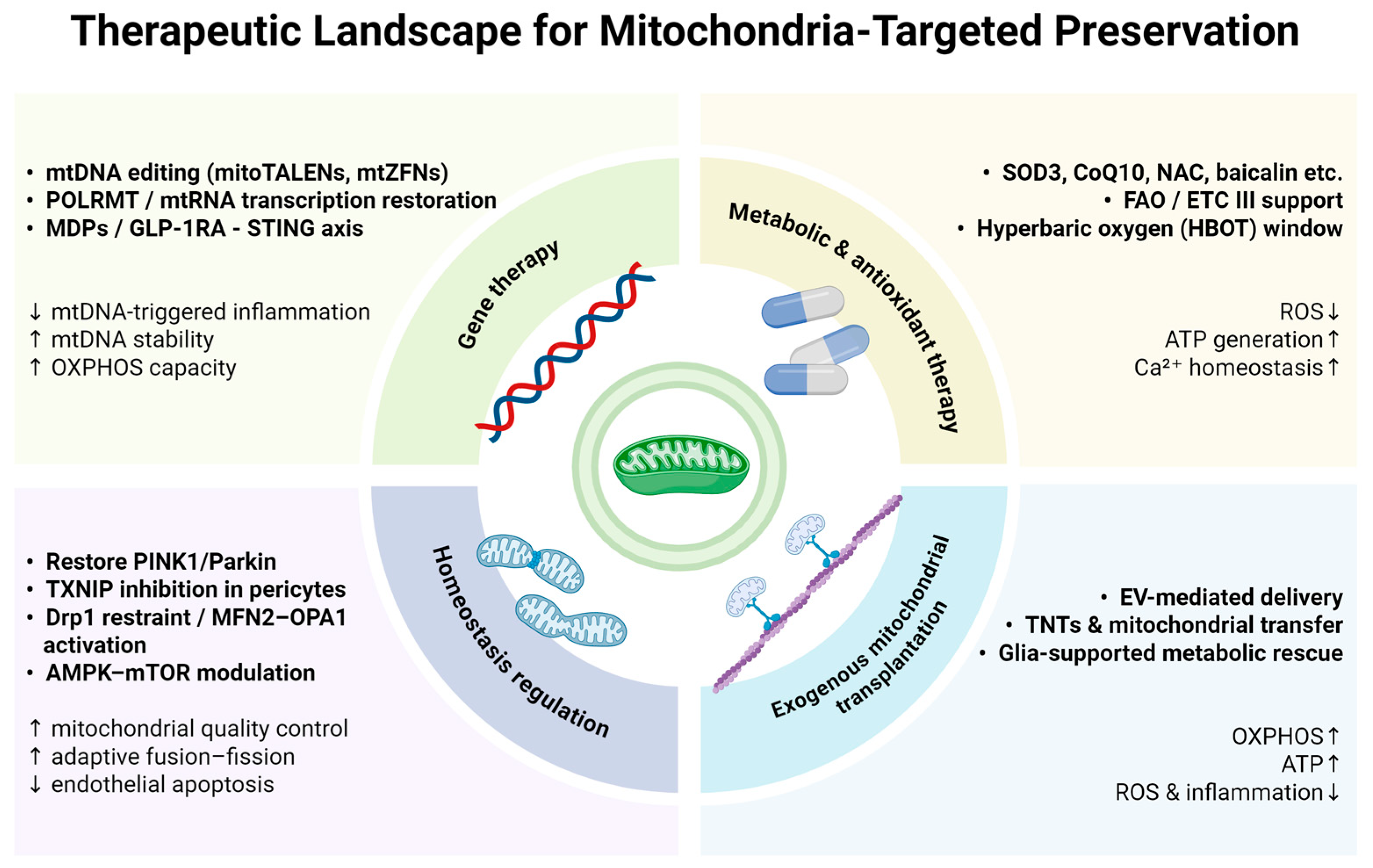 Ijms 26 11984 g003 Ijms 26 11984 g003