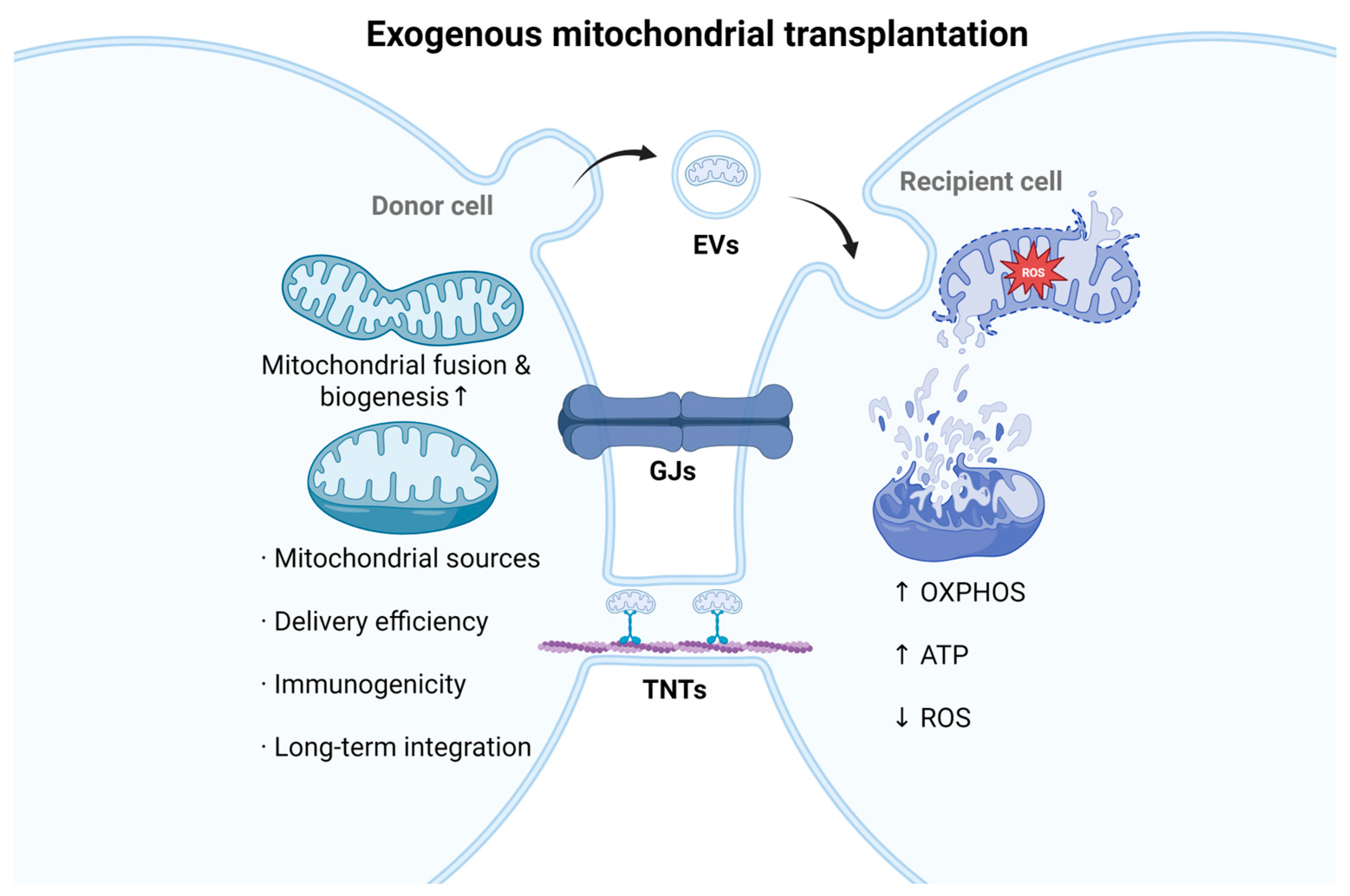 Ijms 26 11984 g004 Ijms 26 11984 g004