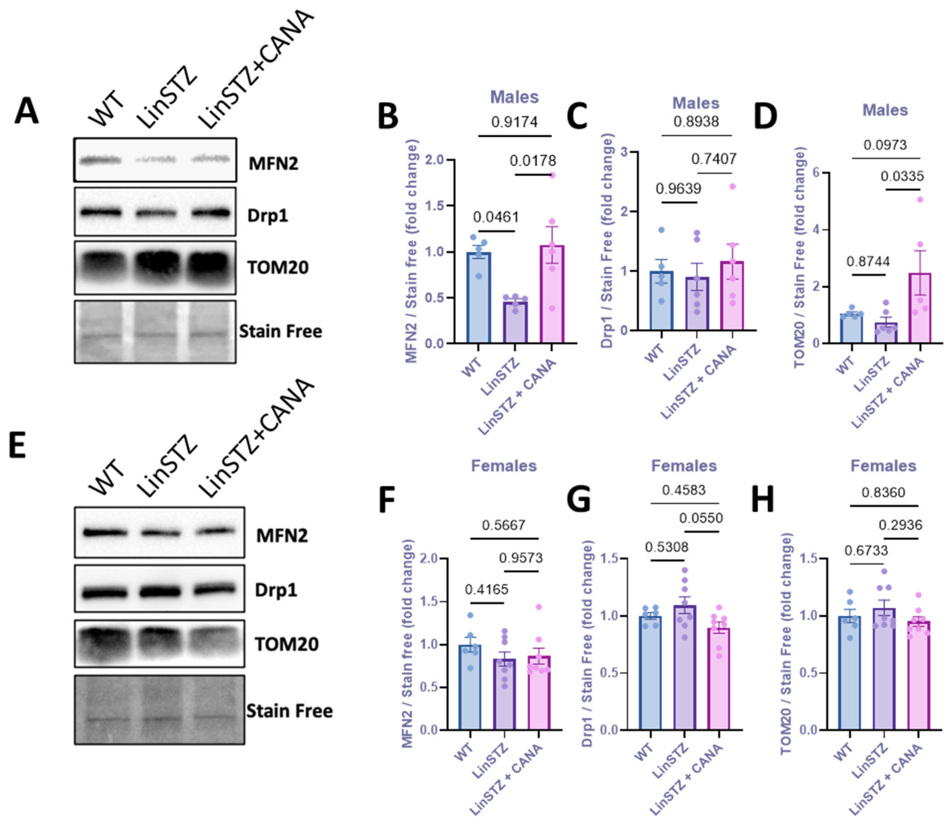 Ijms 26 11988 g003 Ijms 26 11988 g003