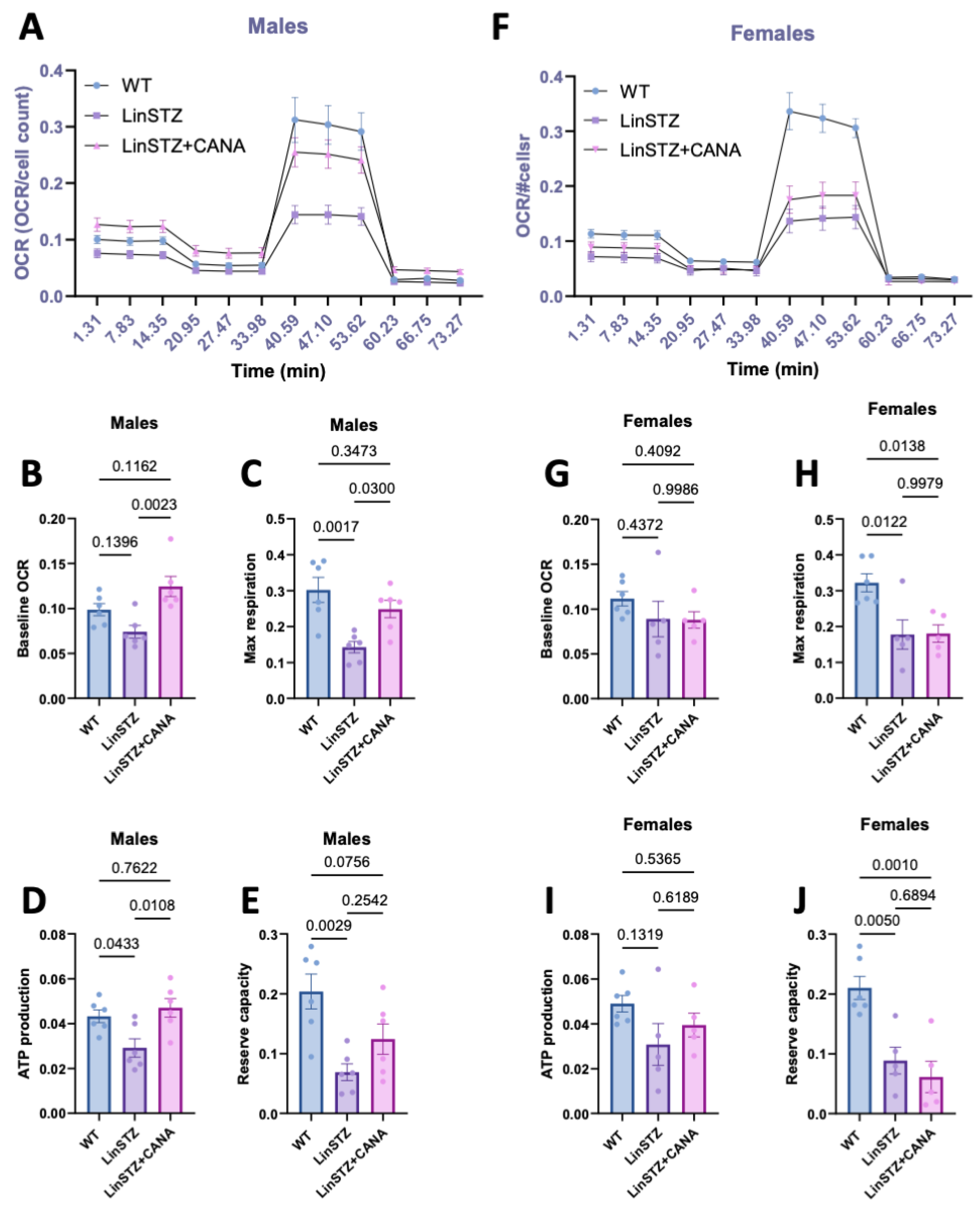 Ijms 26 11988 g005 Ijms 26 11988 g005