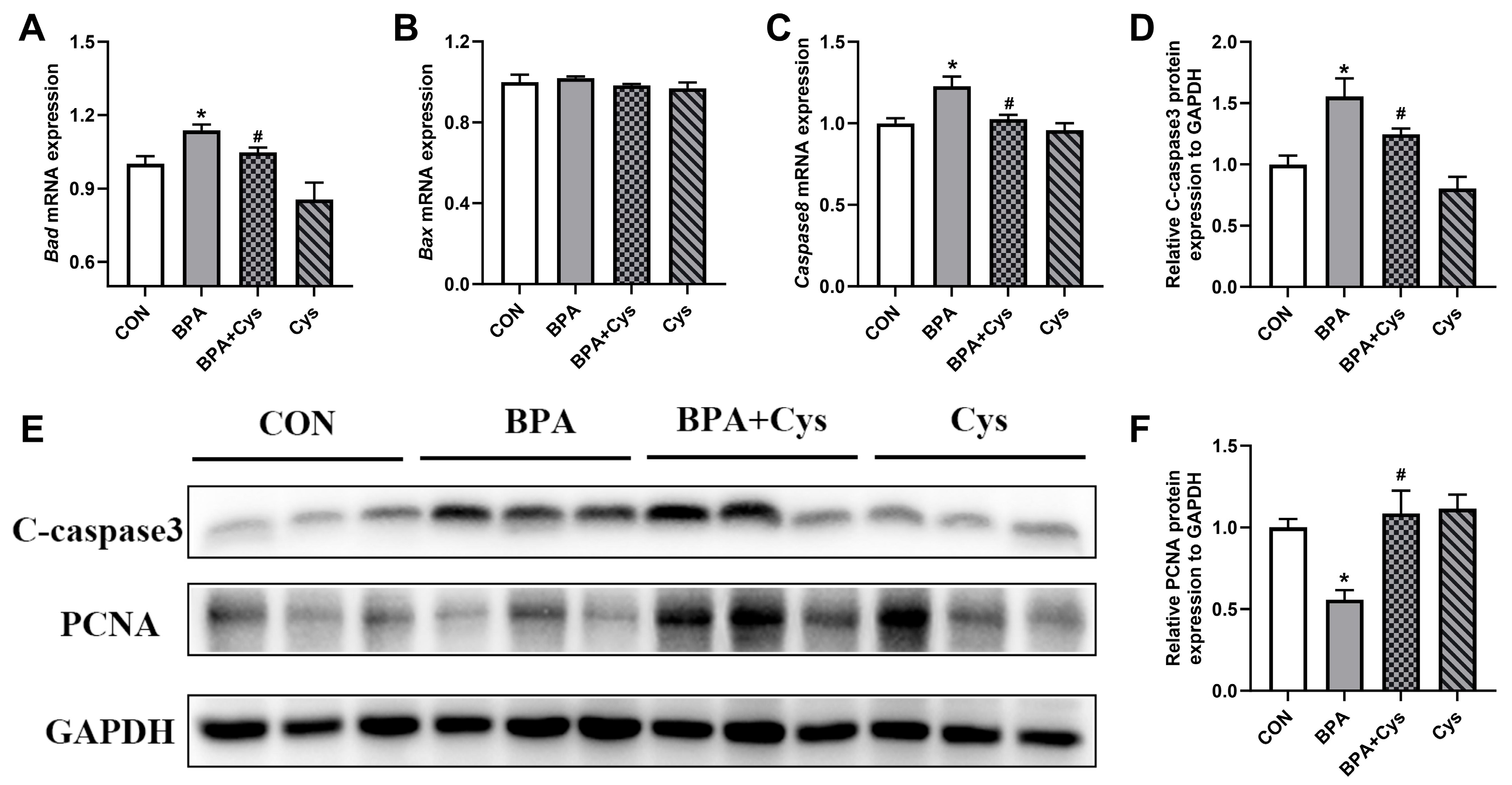 Ijms 26 11991 g001 Ijms 26 11991 g001