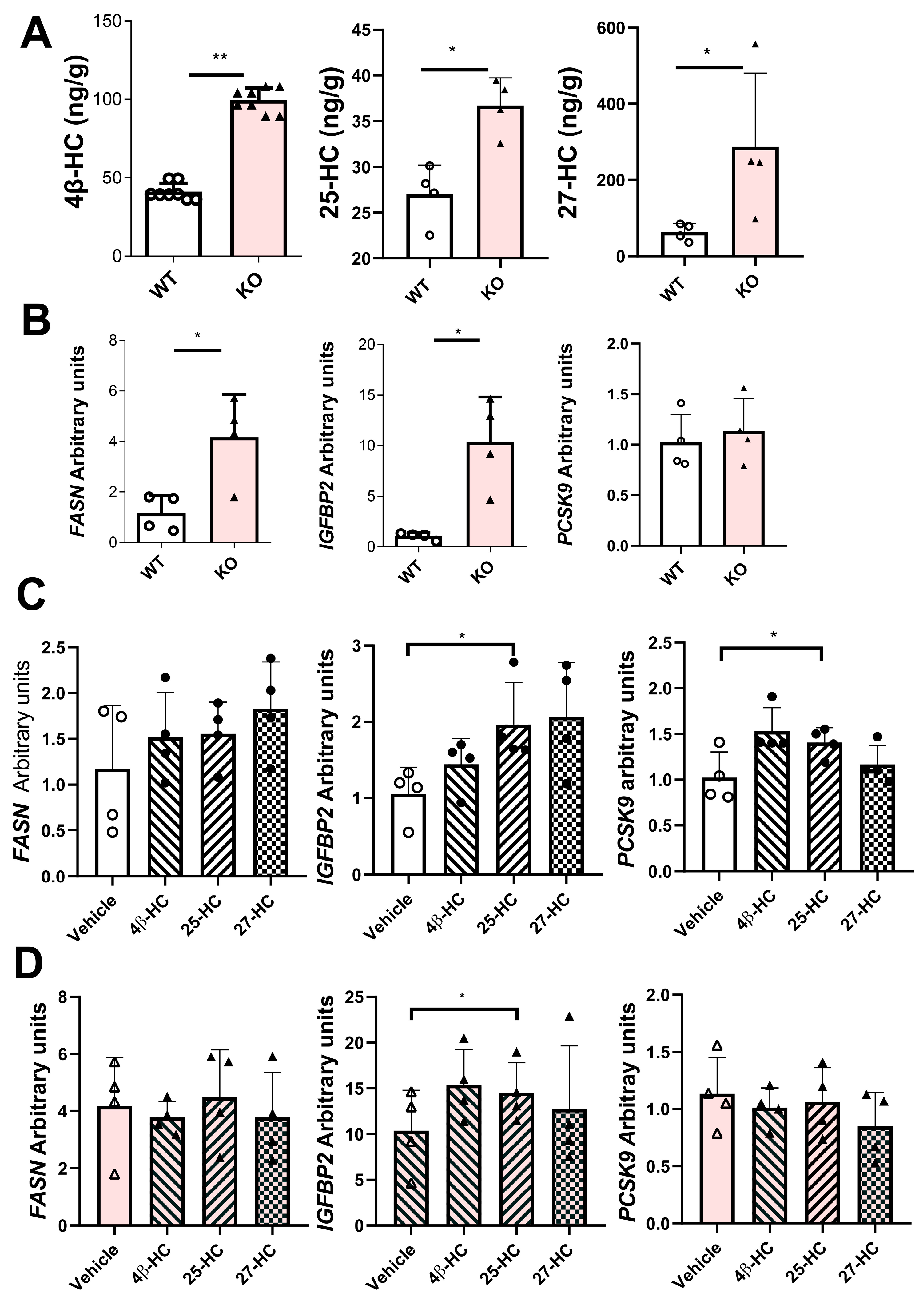 Ijms 26 11994 g005 Ijms 26 11994 g005