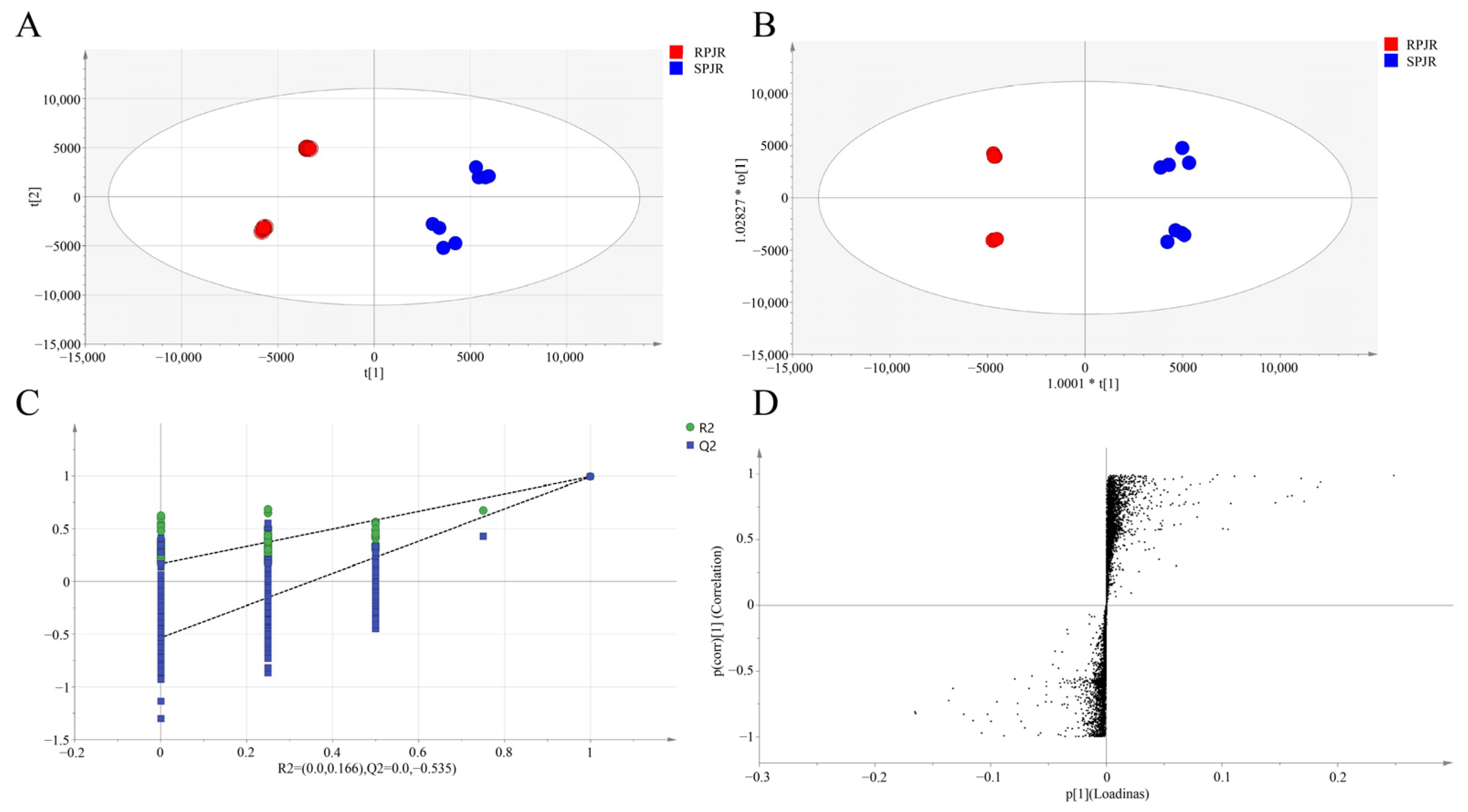 Ijms 26 11999 g002 Ijms 26 11999 g002