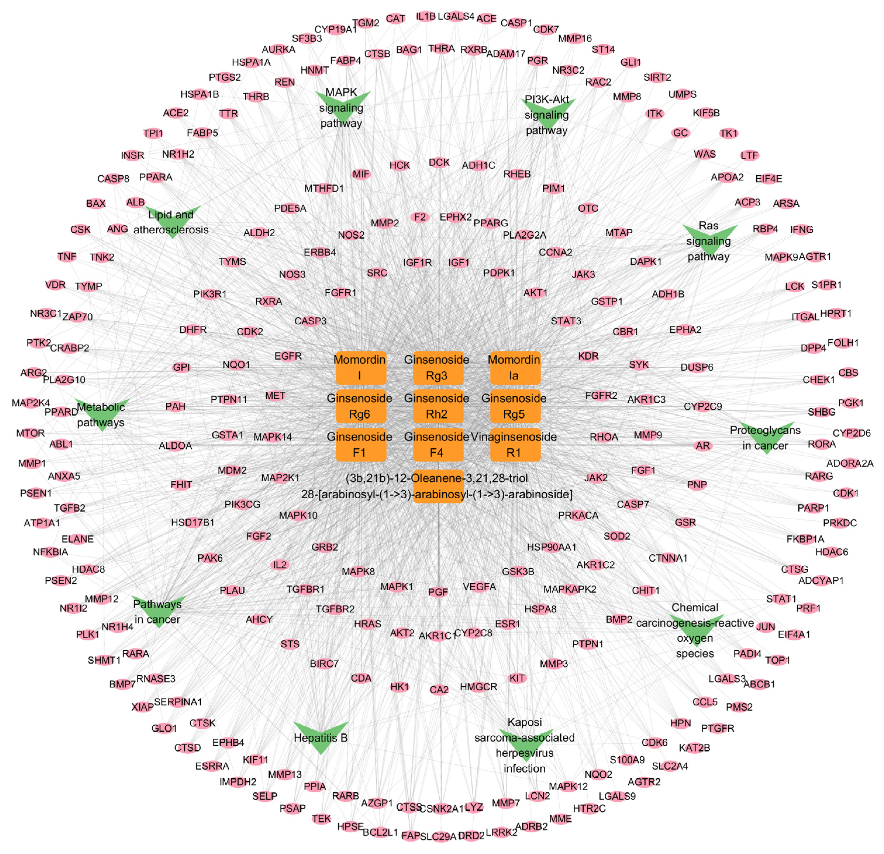 Ijms 26 11999 g008 Ijms 26 11999 g008