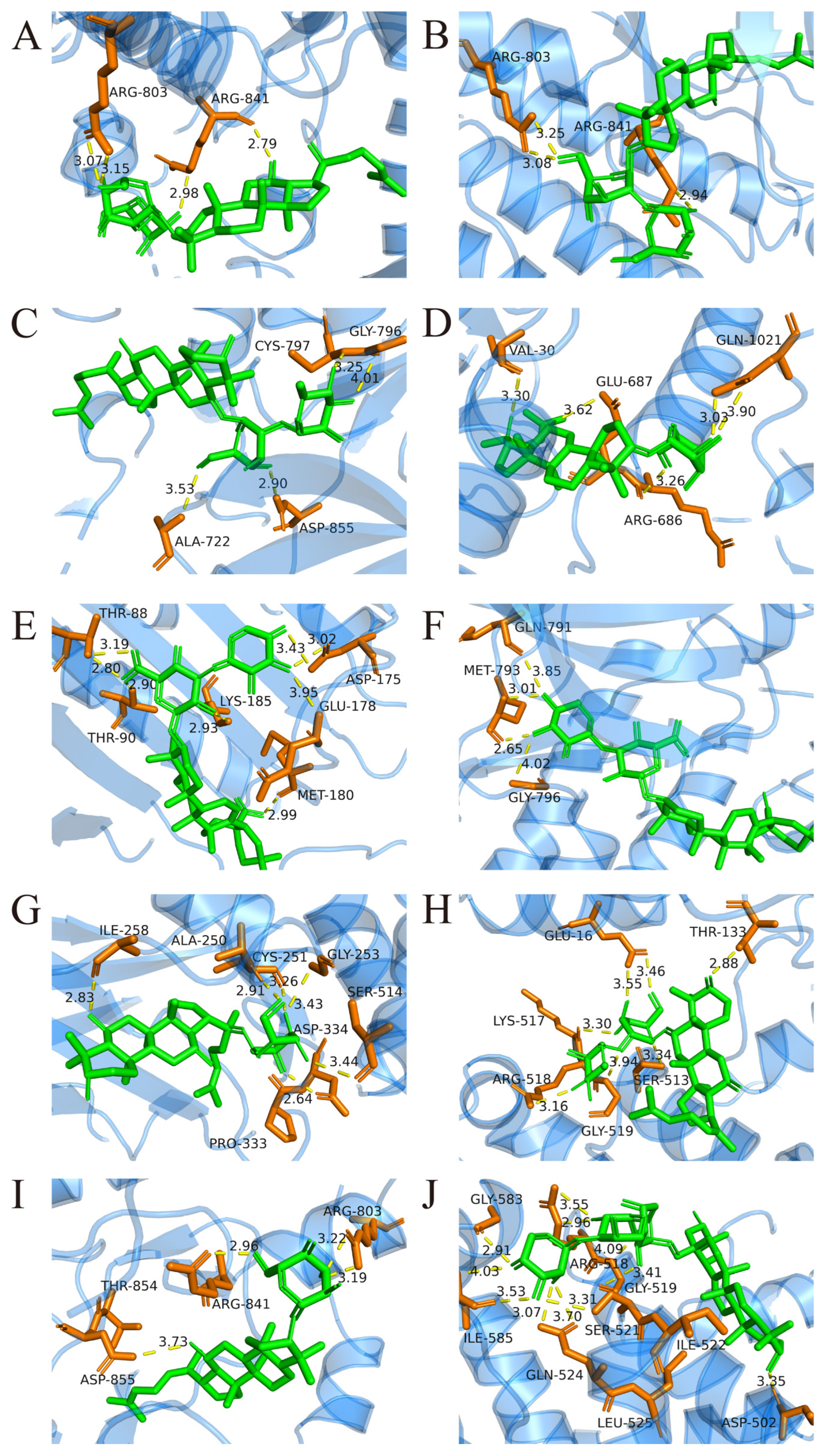 Ijms 26 11999 g010 Ijms 26 11999 g010