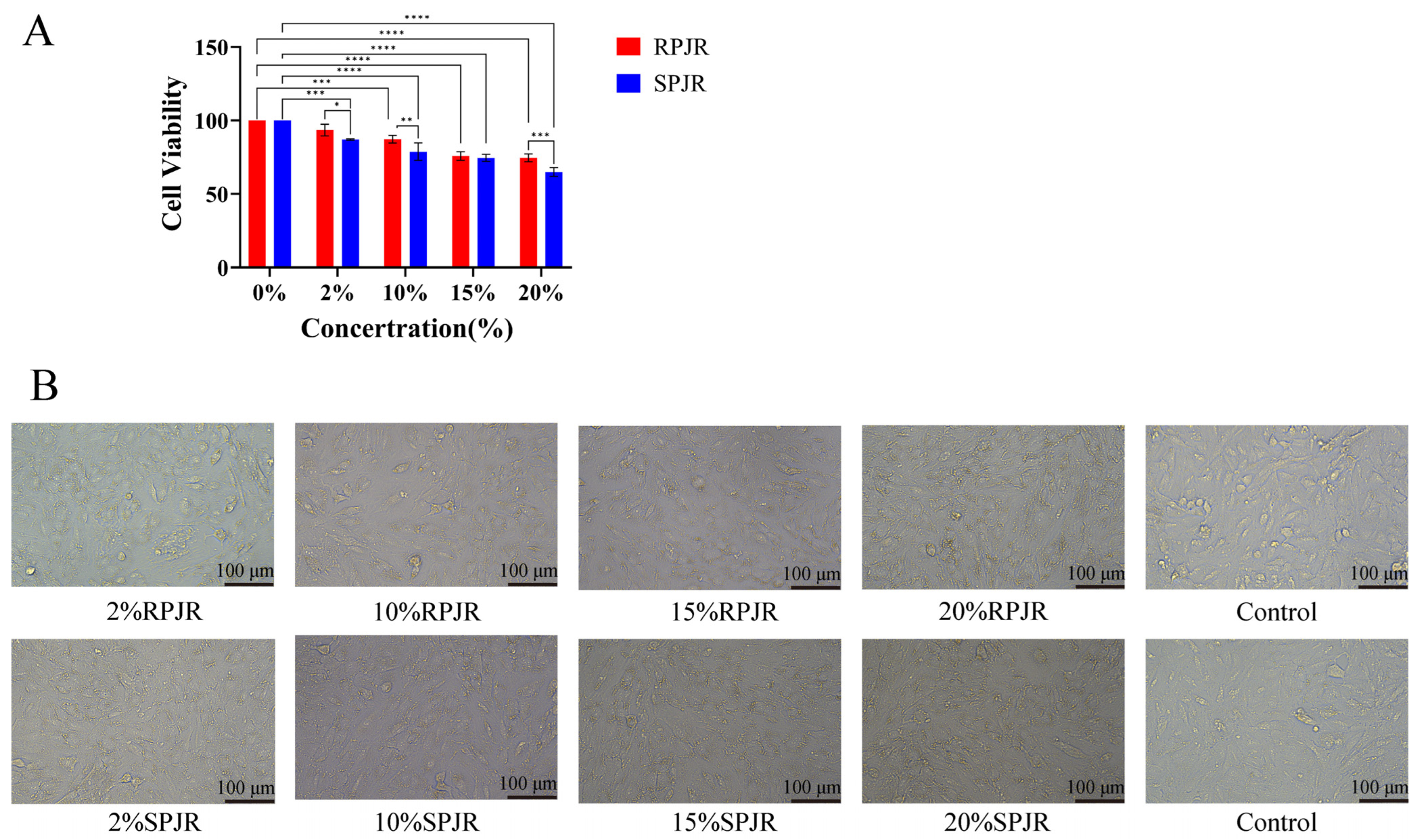 Ijms 26 11999 g018 Ijms 26 11999 g018