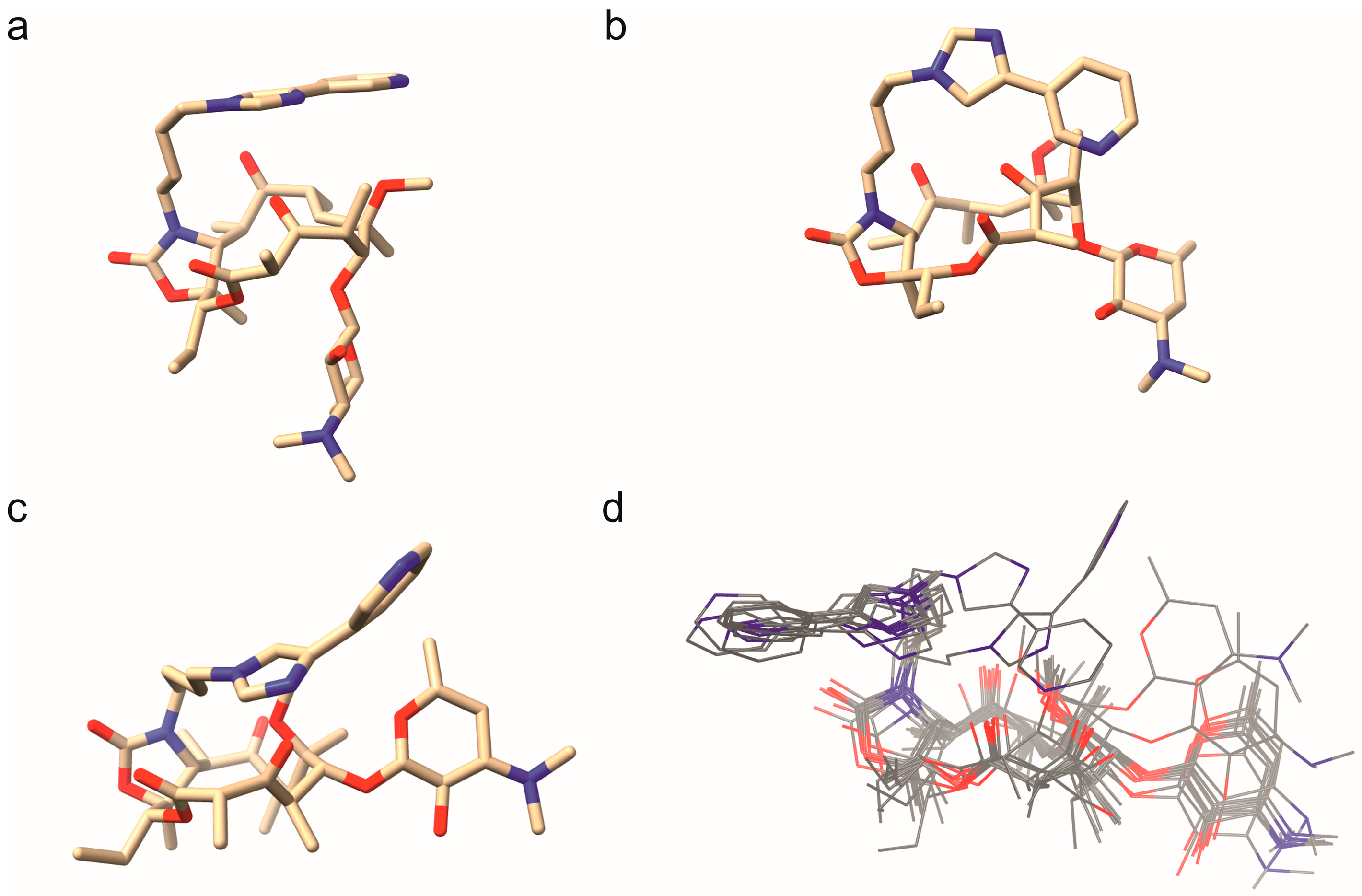 Ijms 26 12005 g004 Ijms 26 12005 g004