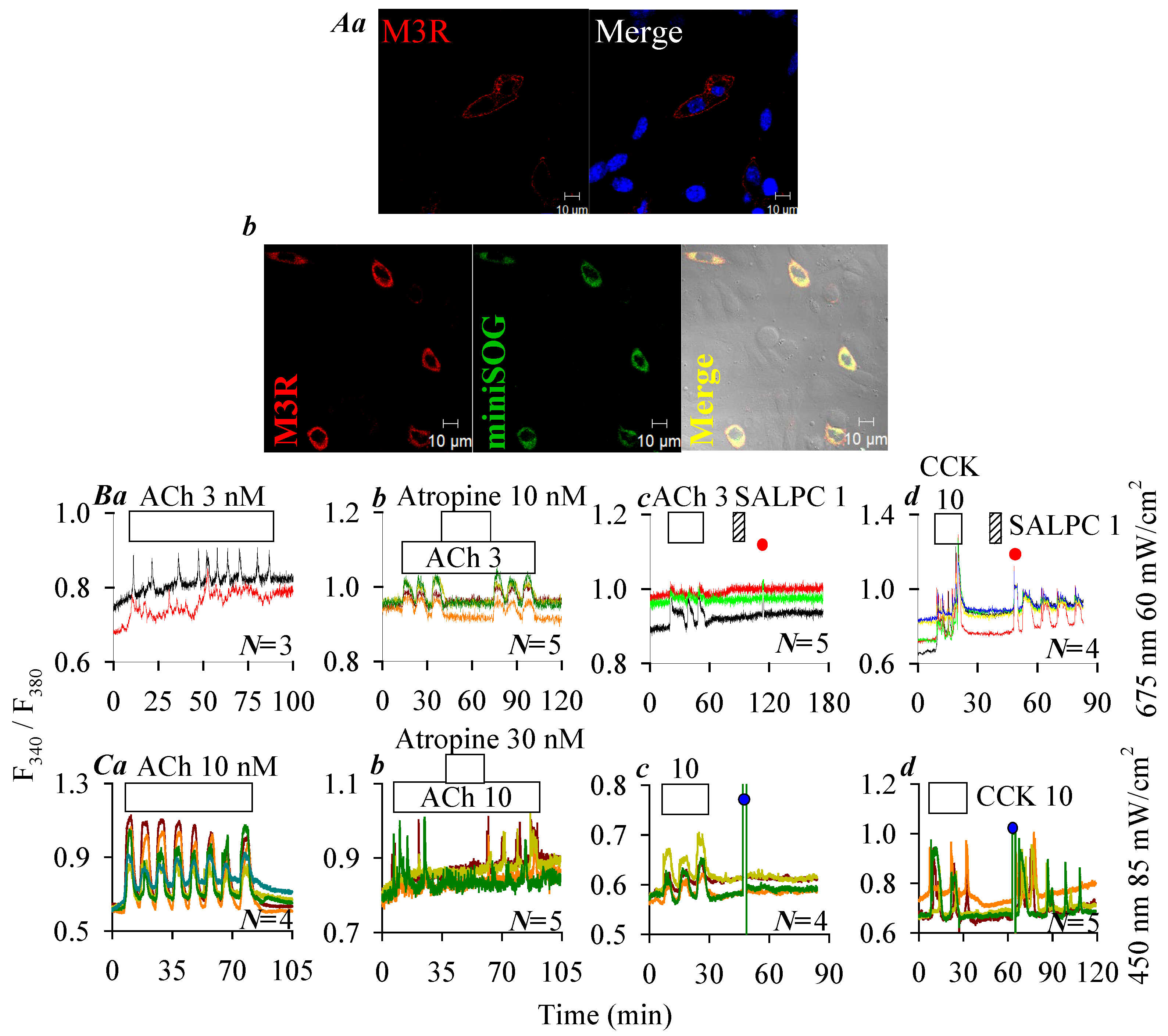 Ijms 26 12011 g004 Ijms 26 12011 g004