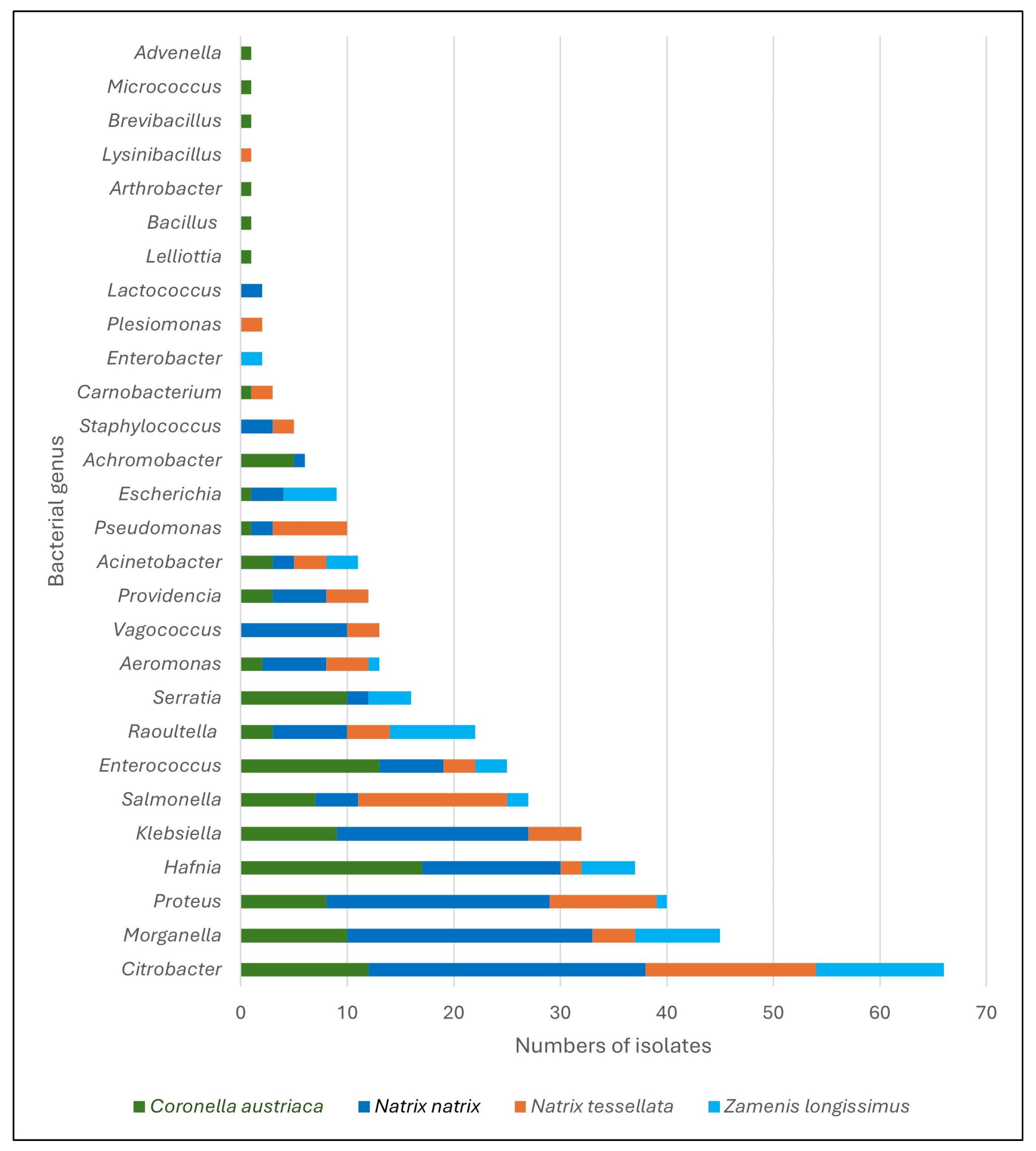 Ijms 26 12018 g001 Ijms 26 12018 g001