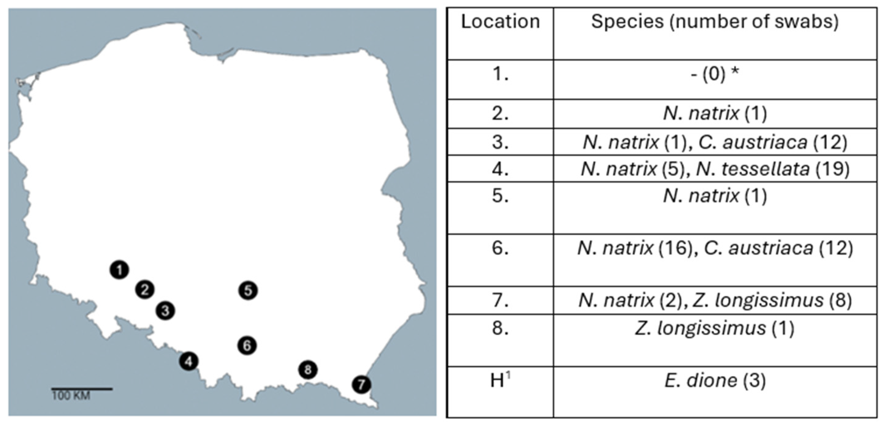 Ijms 26 12018 g004 Ijms 26 12018 g004