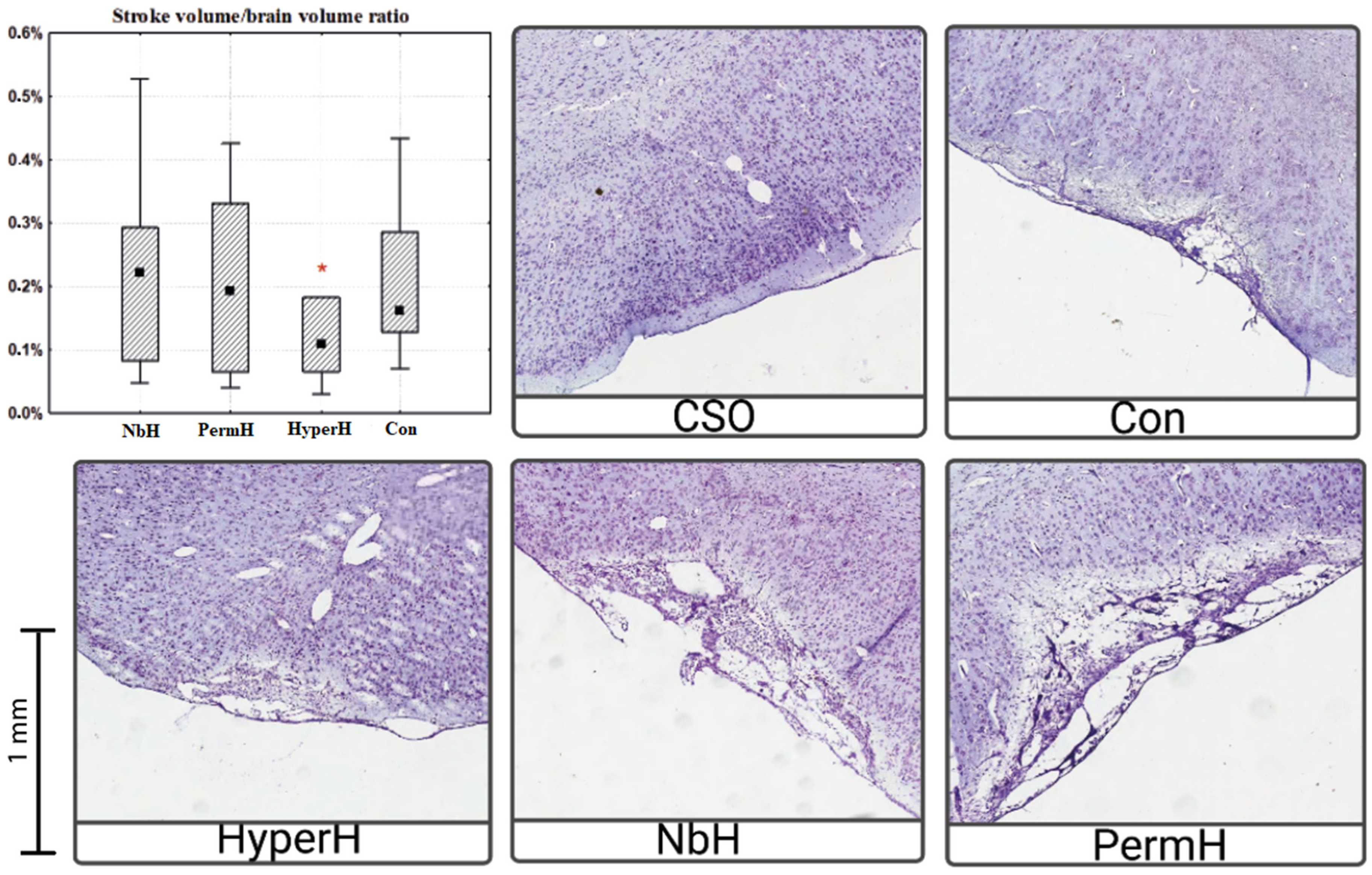 Ijms 26 12019 g001 Ijms 26 12019 g001