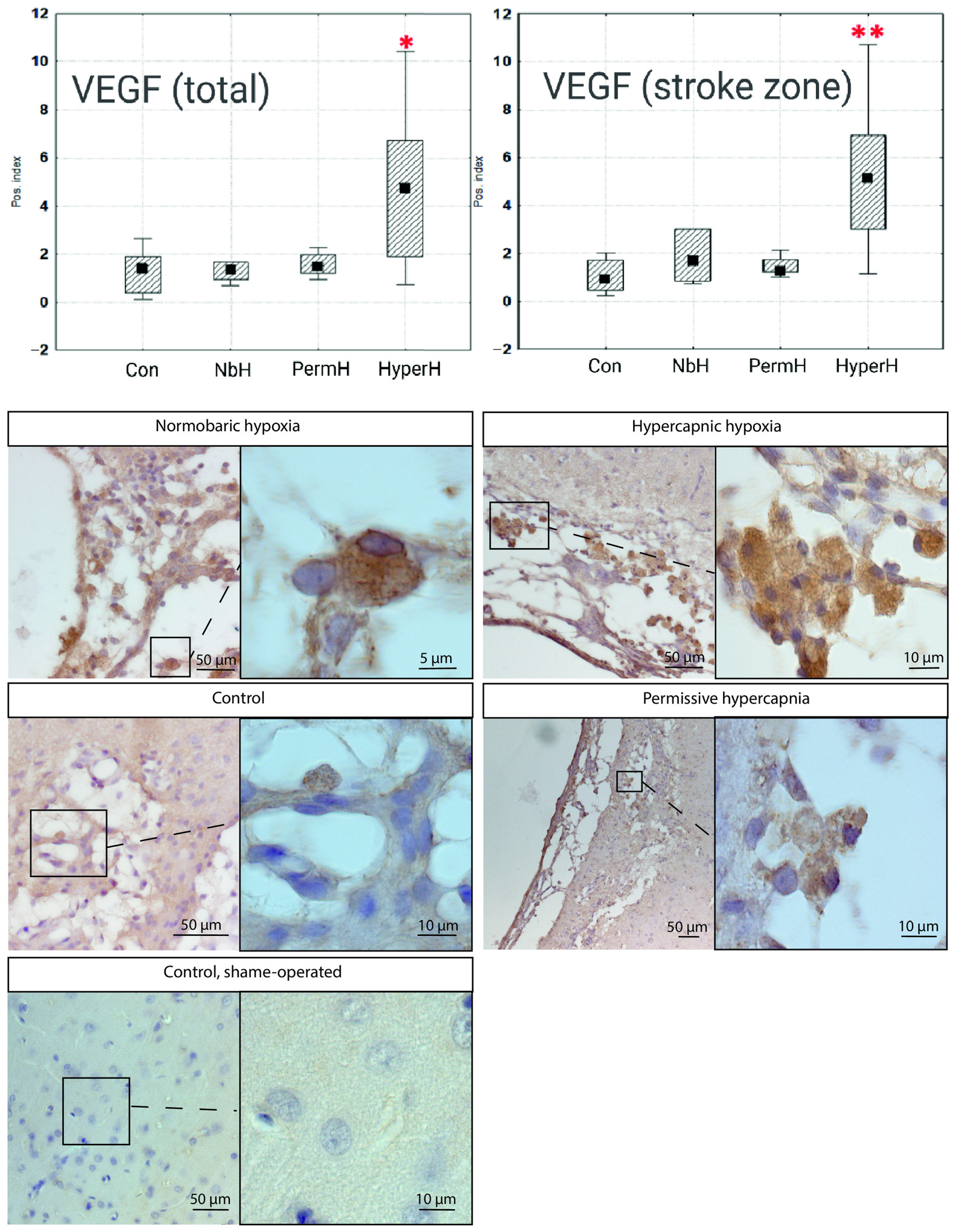 Ijms 26 12019 g002 Ijms 26 12019 g002