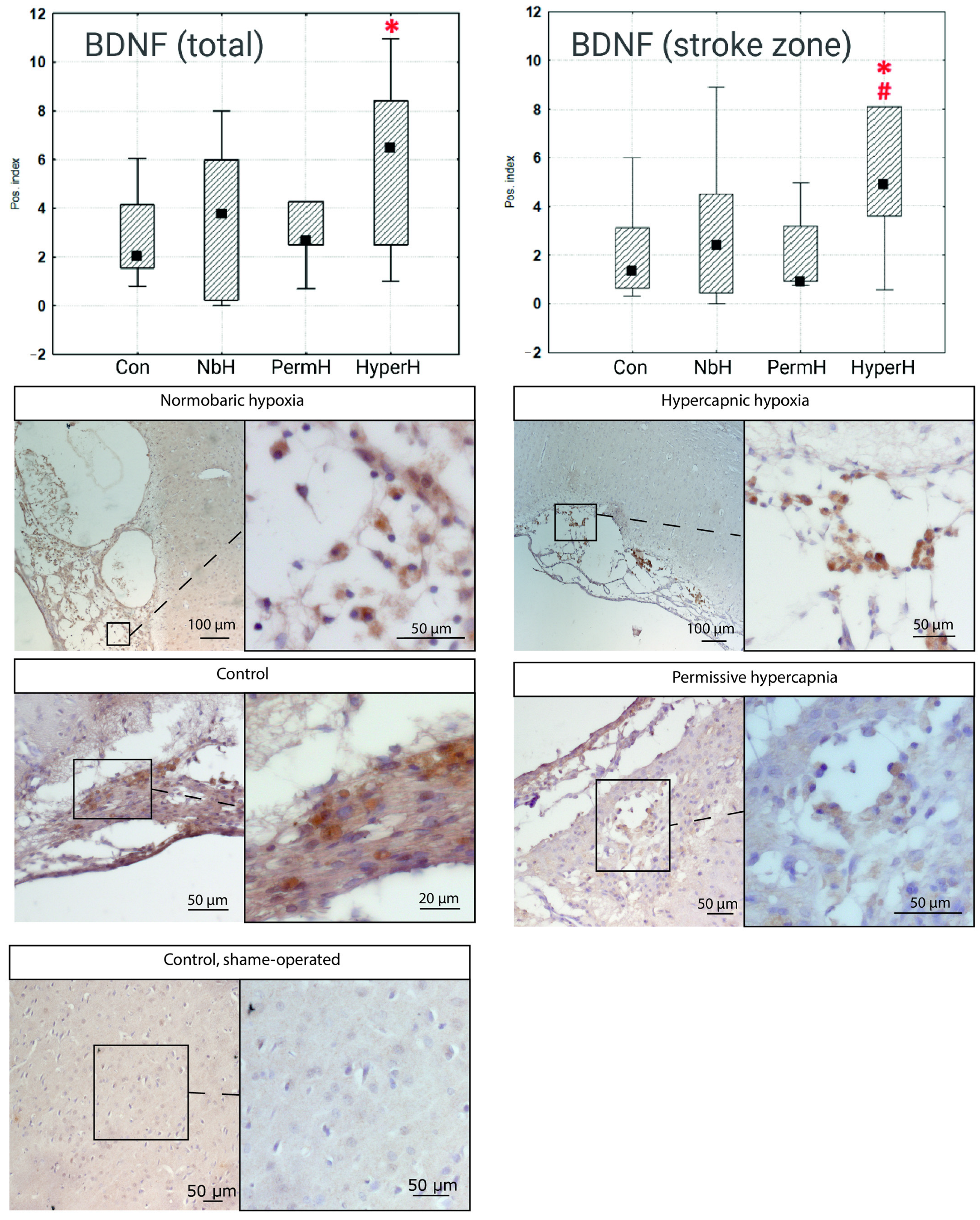Ijms 26 12019 g003 Ijms 26 12019 g003