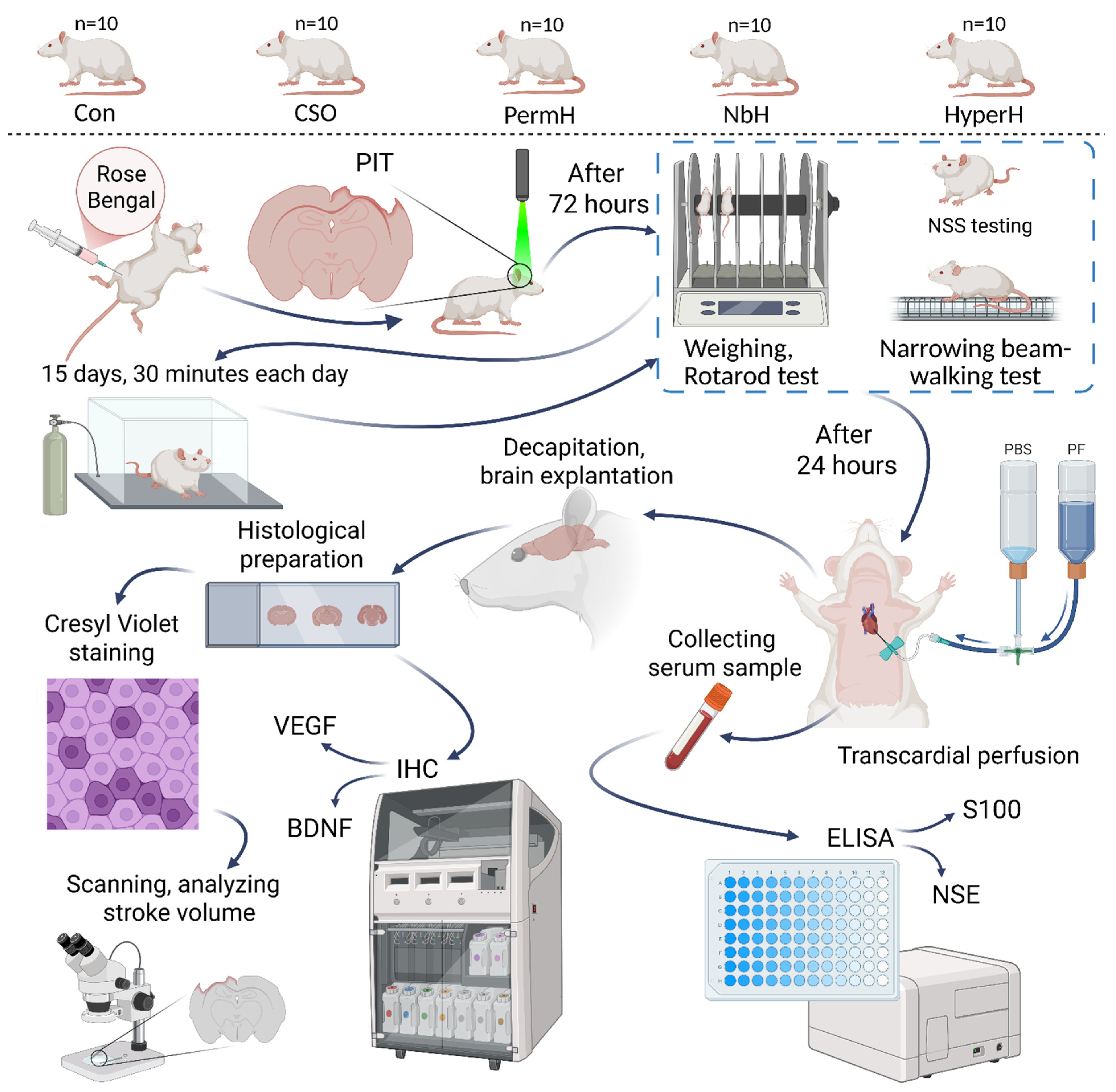 Ijms 26 12019 g006 Ijms 26 12019 g006